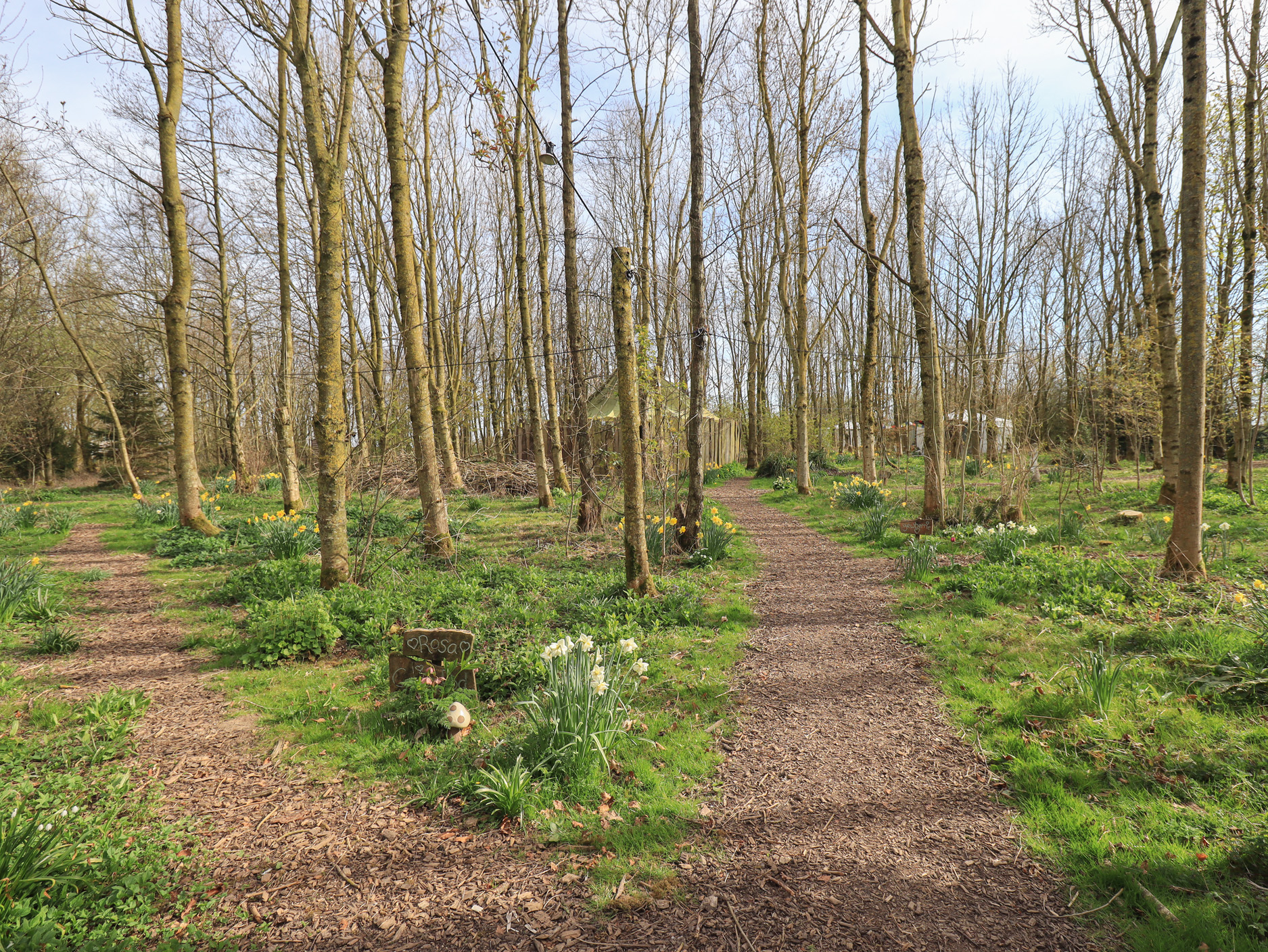 Property image 20 for SC1173690