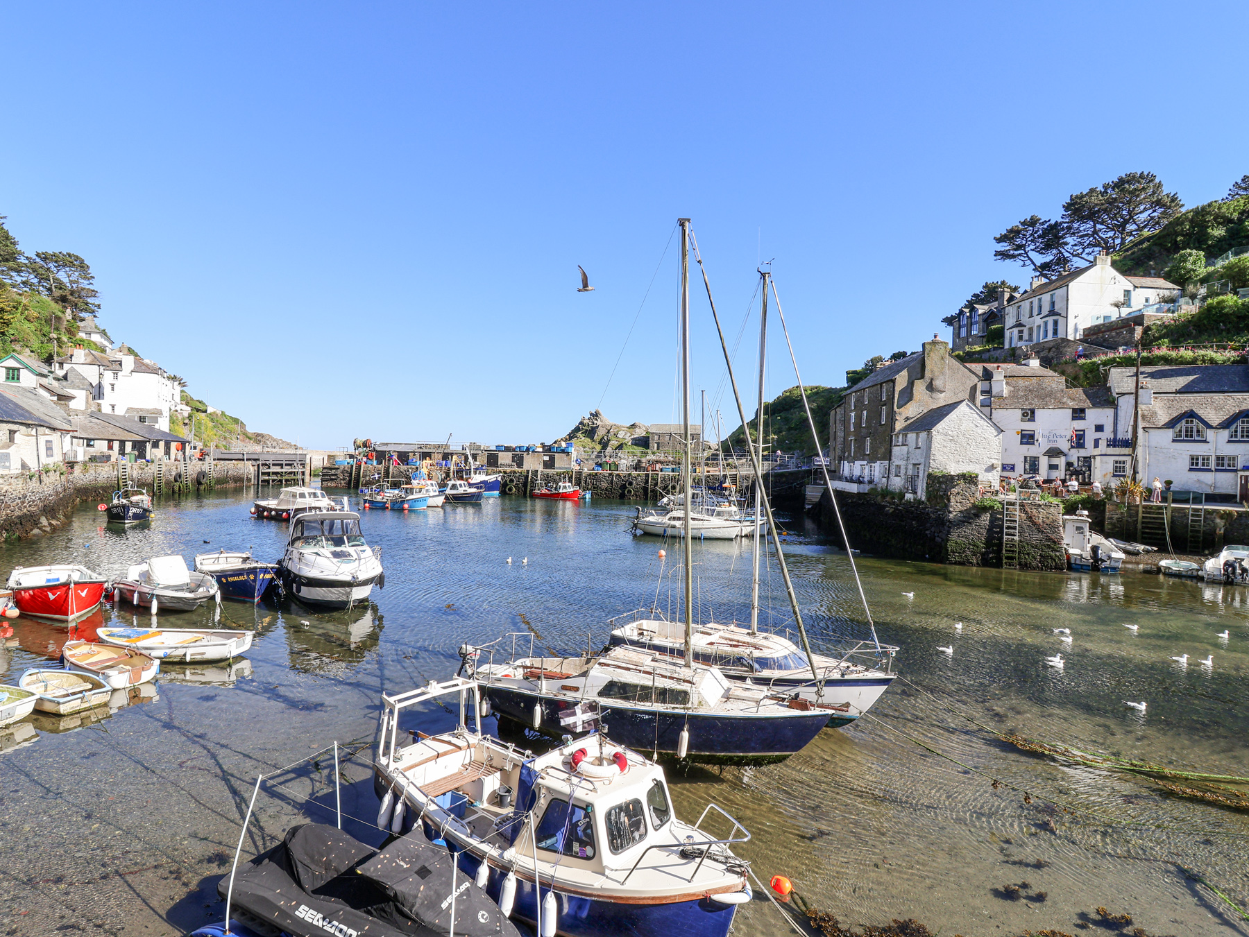 Property image 4 for SC1173838