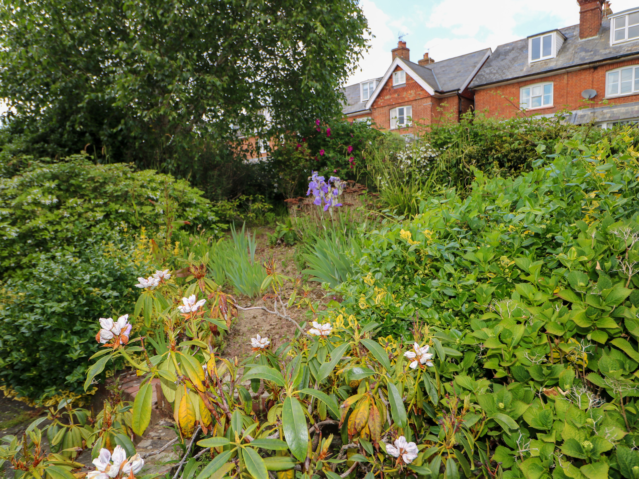 Property image 37 for SC1173867