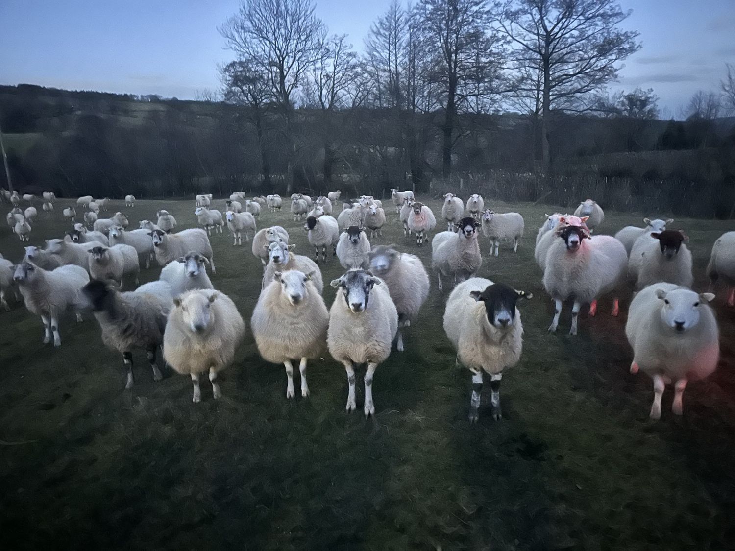 Property image 64 for SC1173908