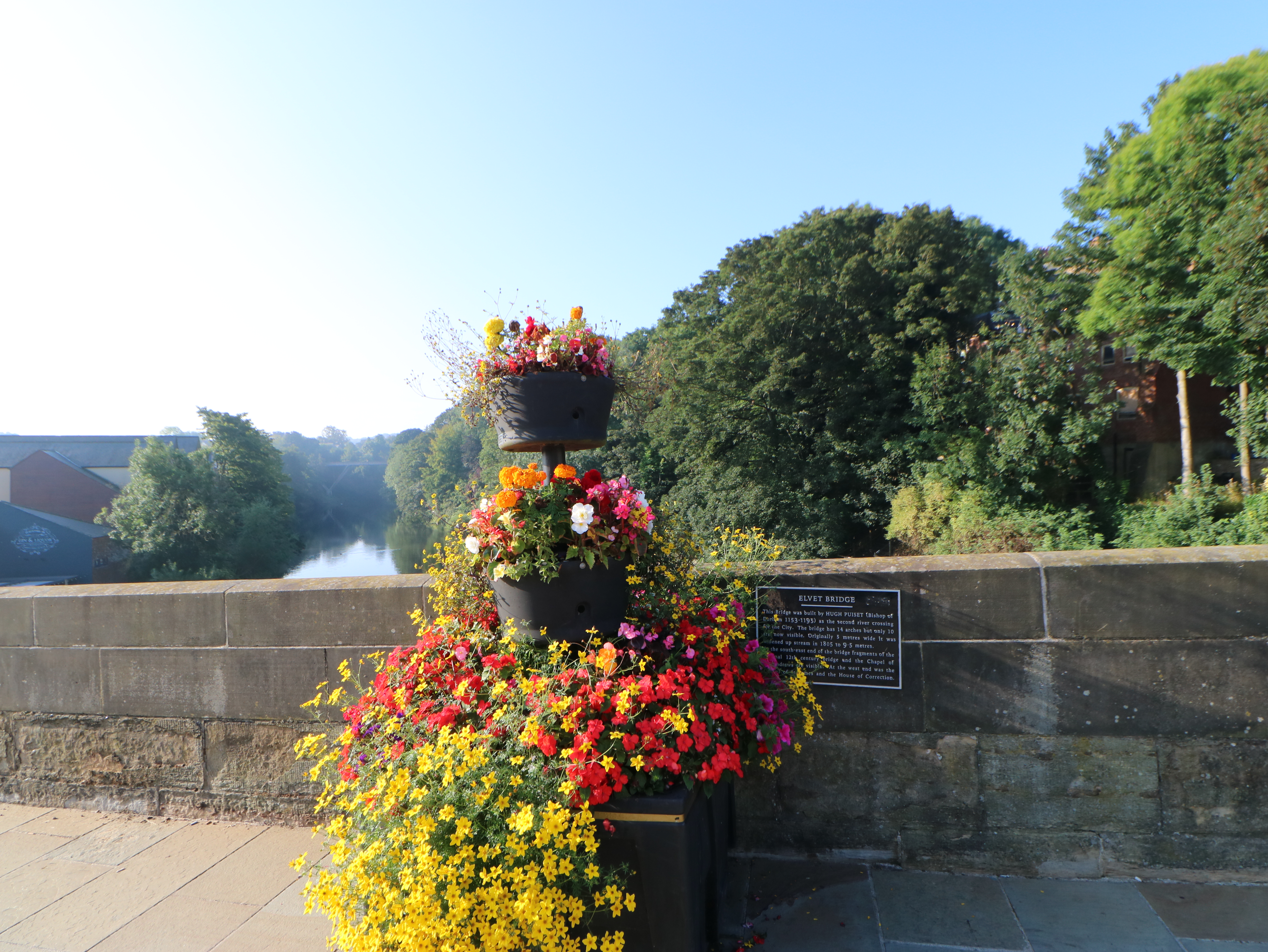 Property image 21 for SC1173946