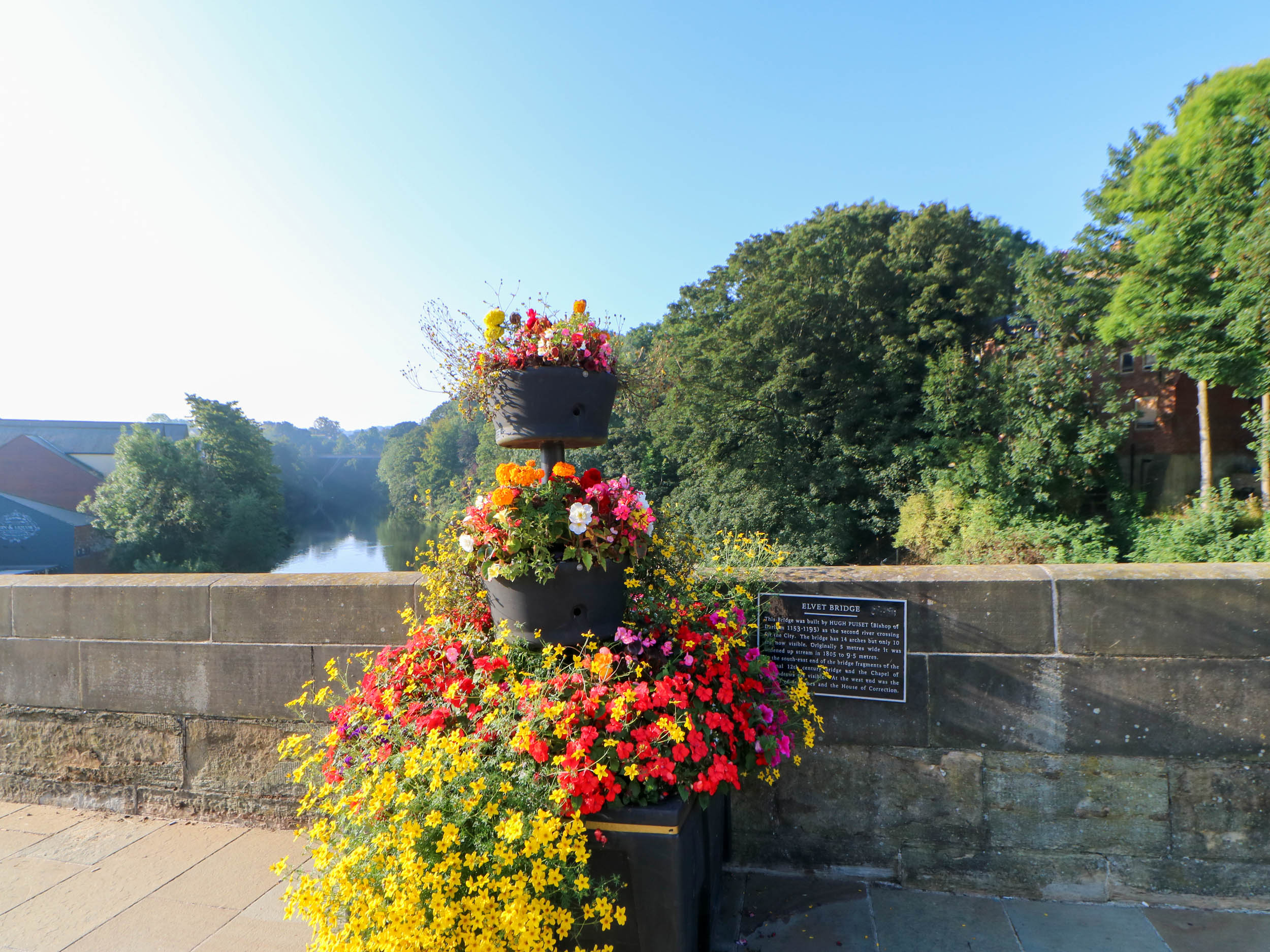 Property image 24 for SC1173950