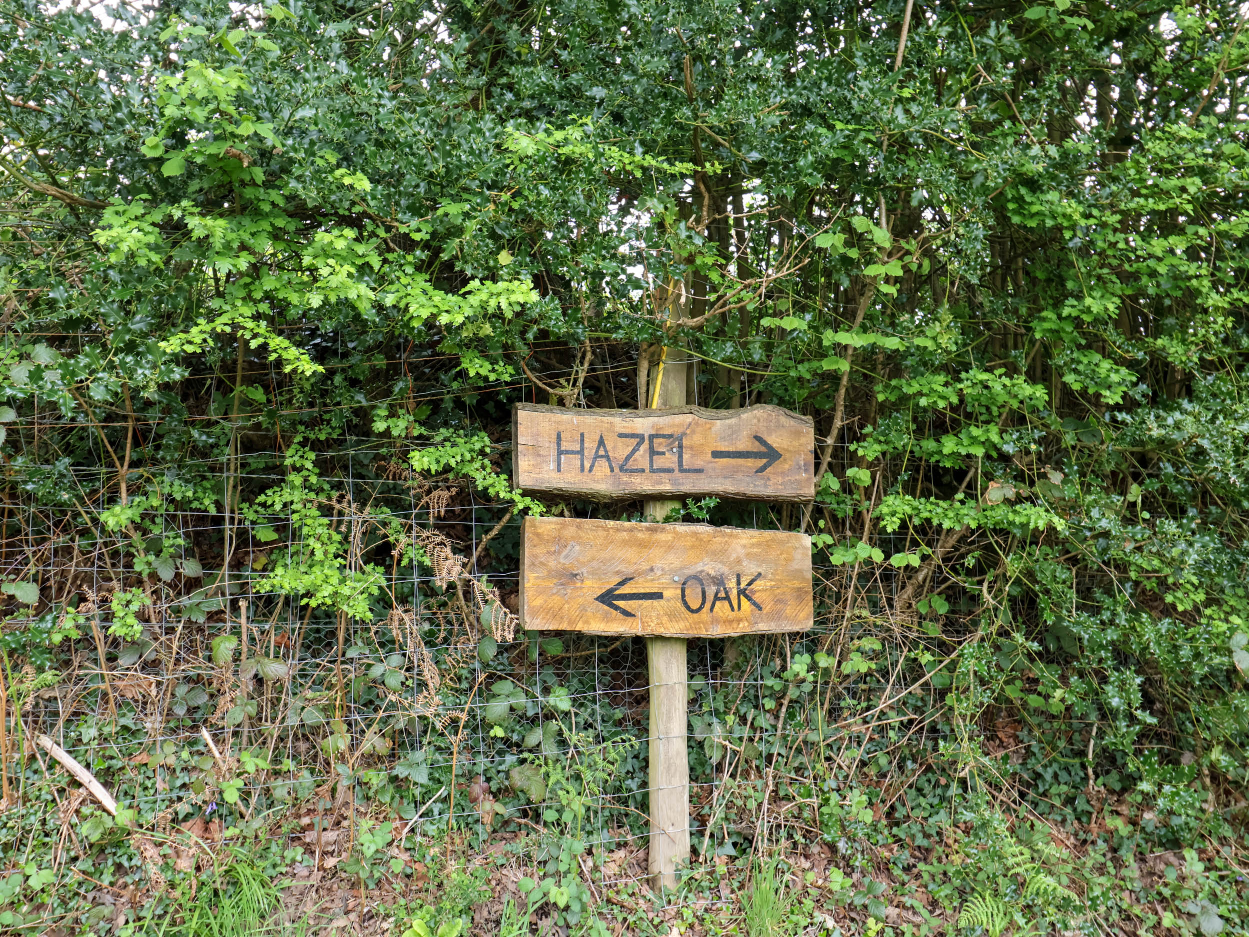 Property image 29 for SC1174124