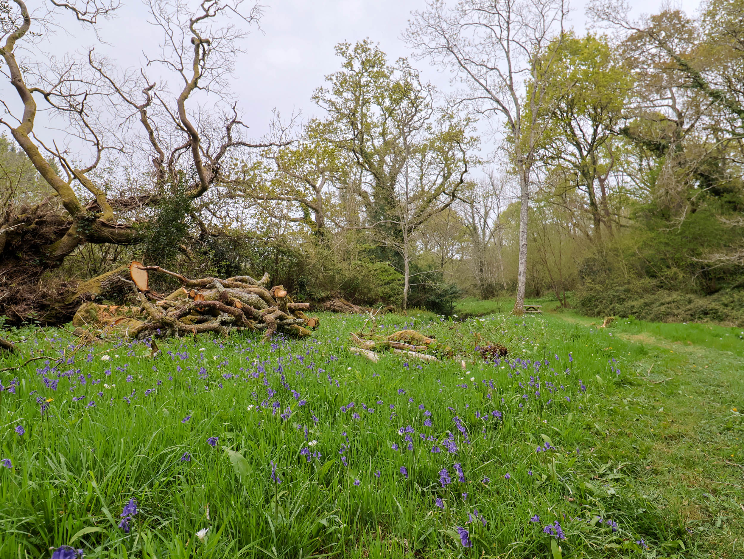 Property image 30 for SC1174124