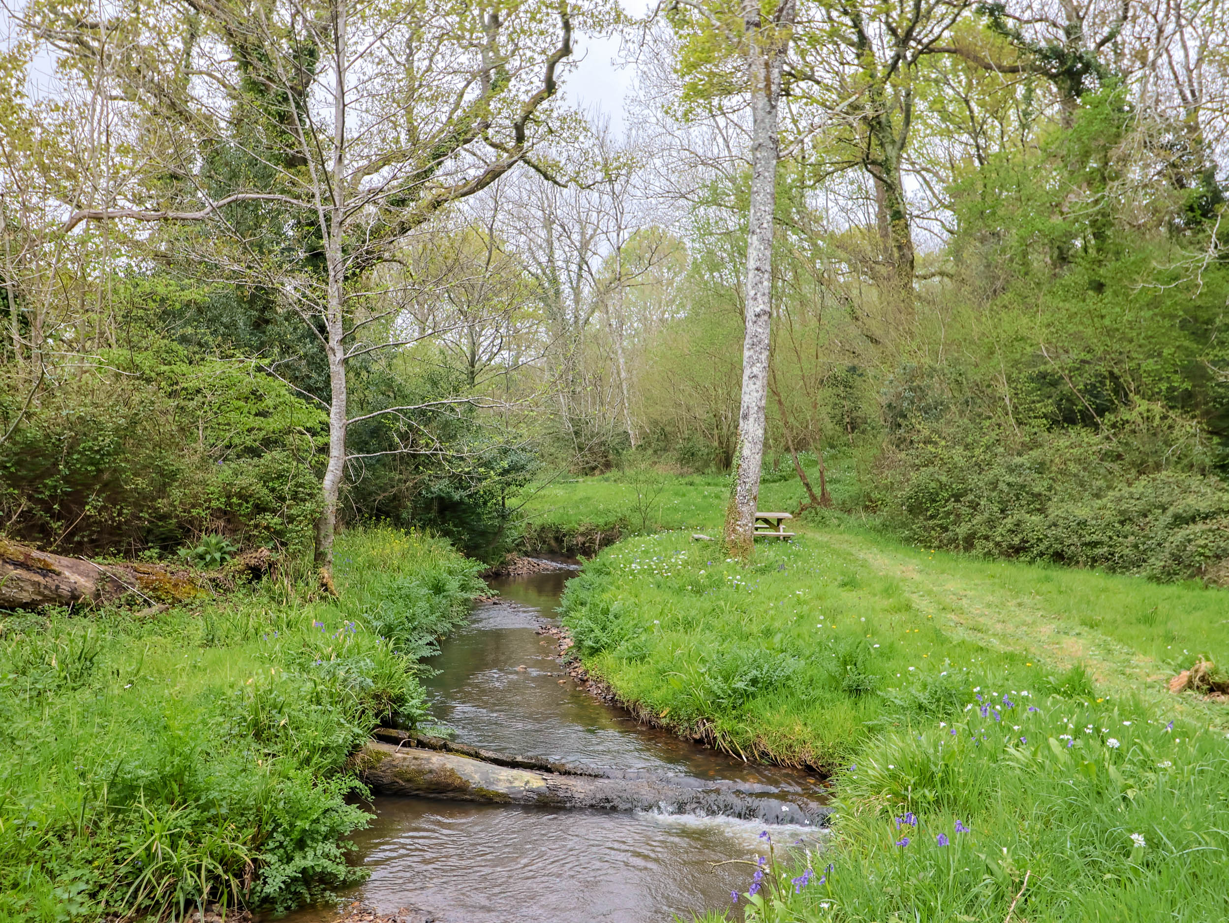 Property image 31 for SC1174124