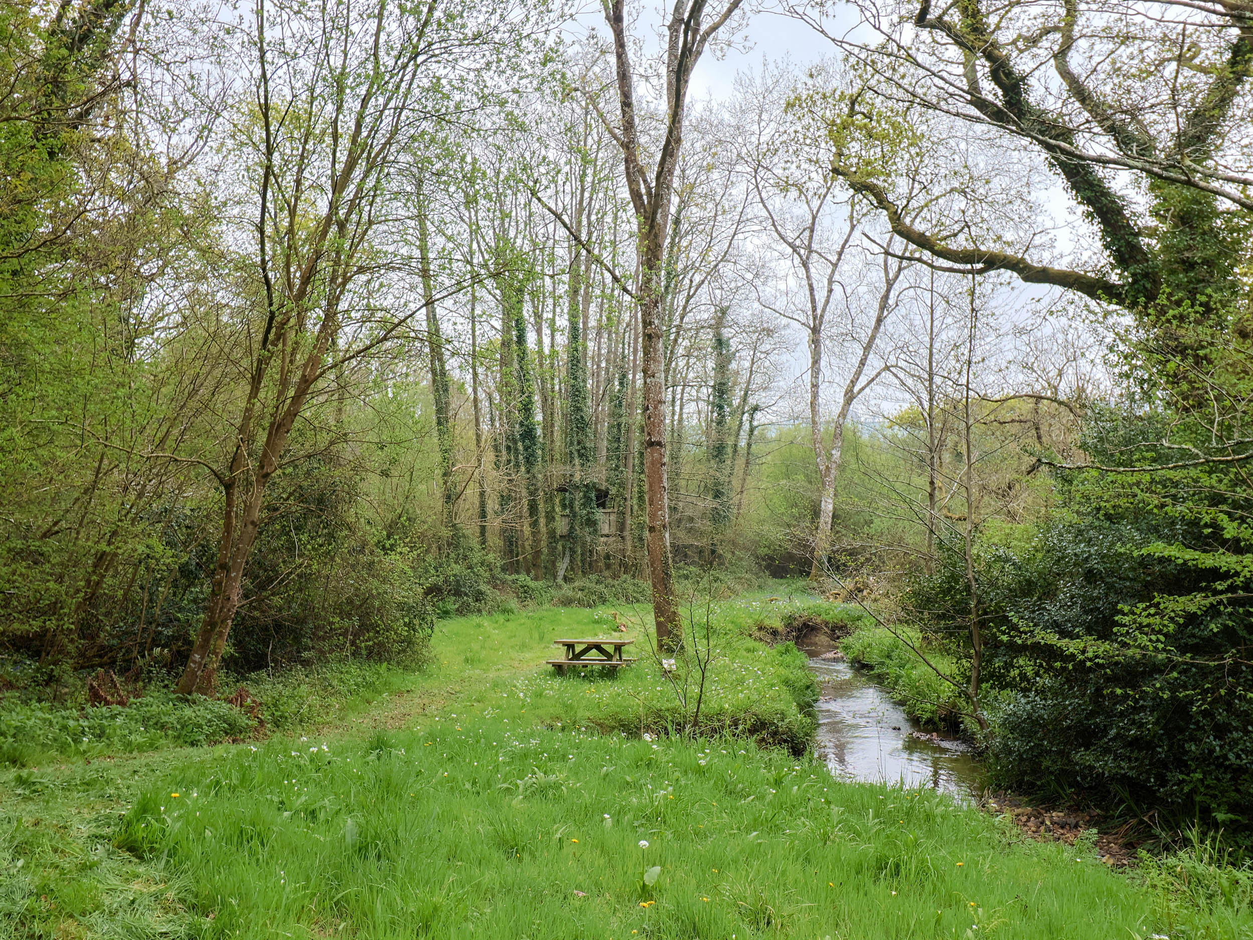 Property image 32 for SC1174124