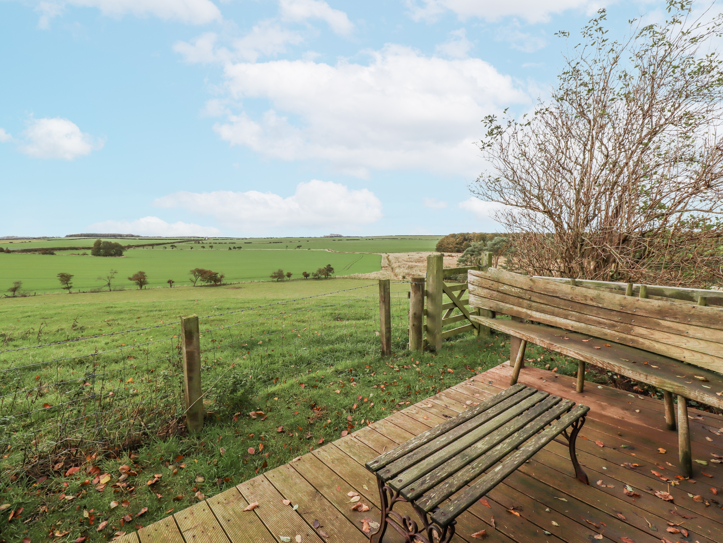 Property image 77 for SC1174445