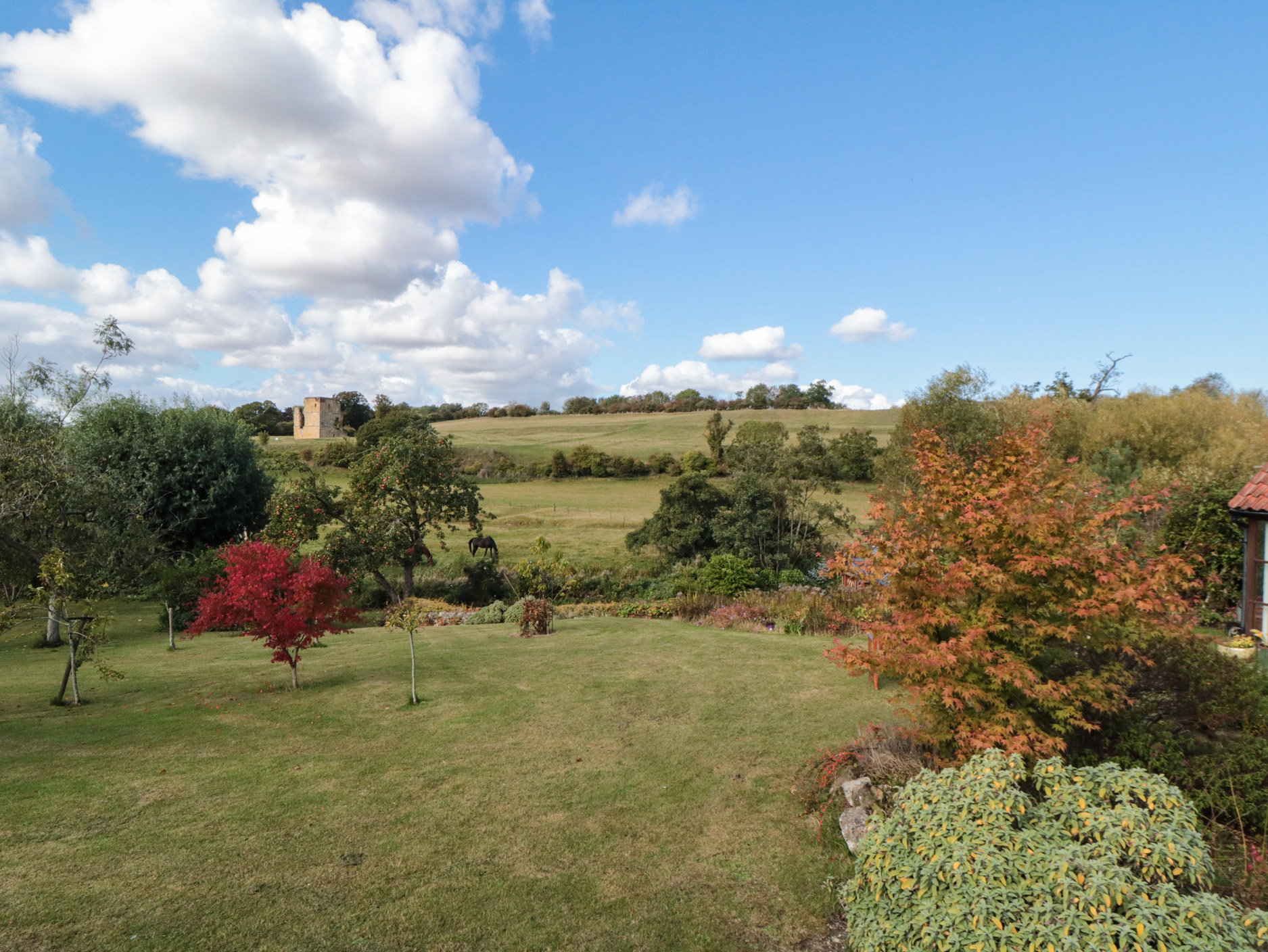 Property image 2 for SC1174524