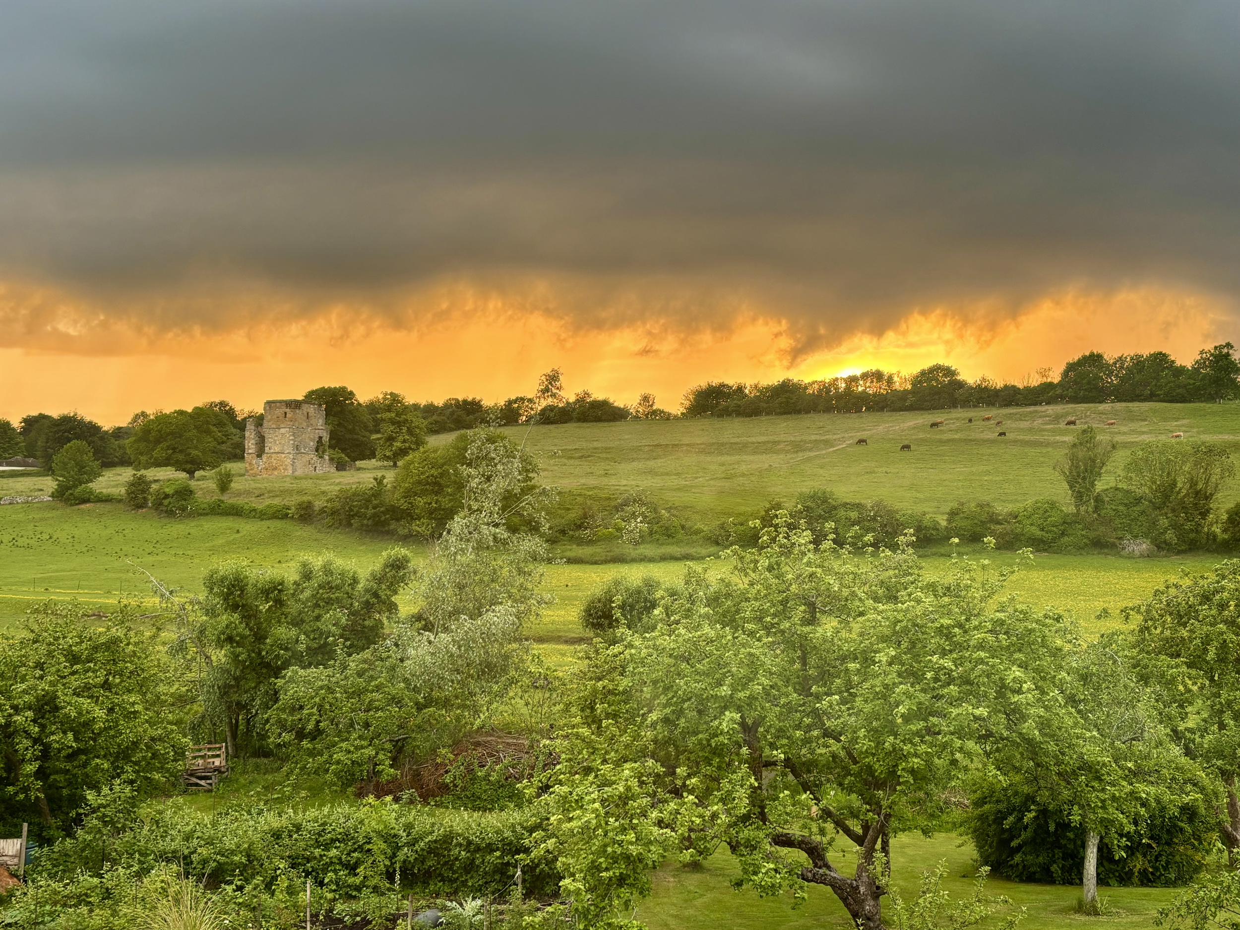 Property image 6 for SC1174524