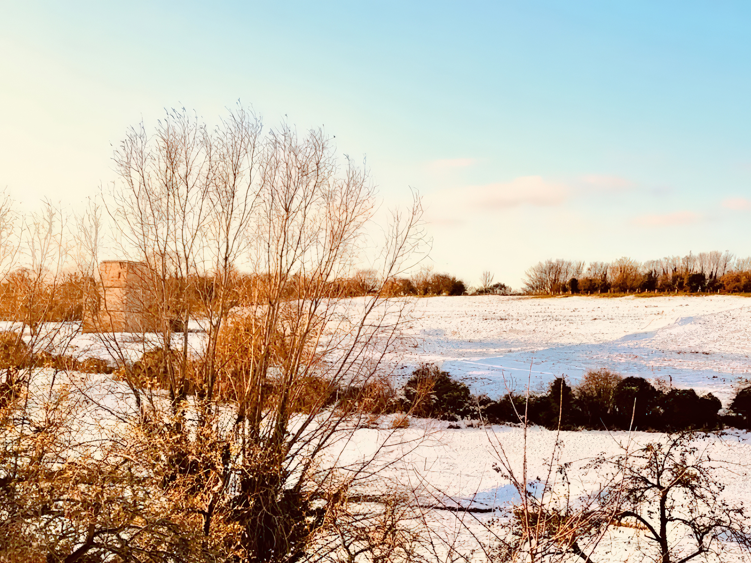 Property image 8 for SC1174524