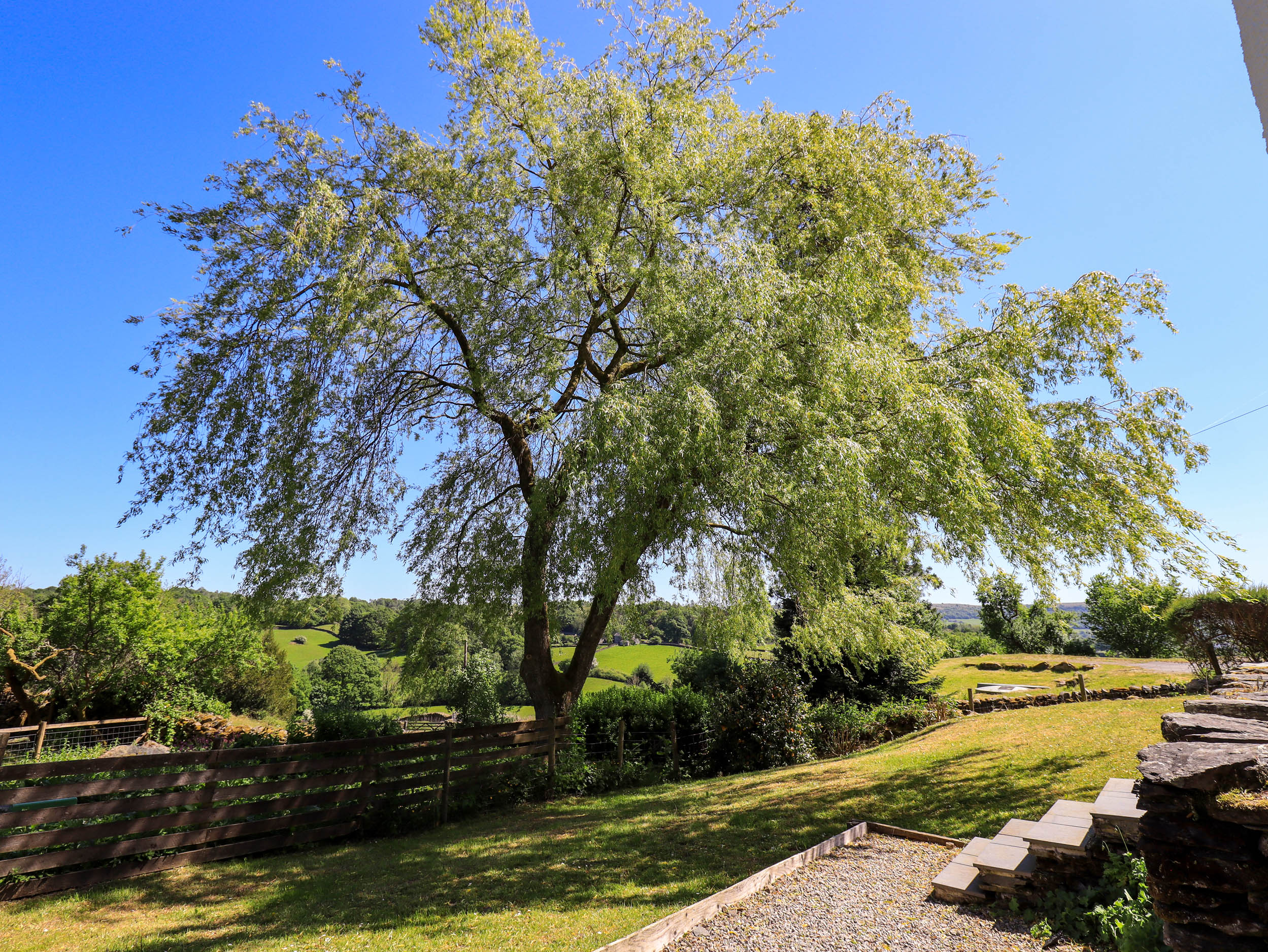 Property image 5 for SC1174549