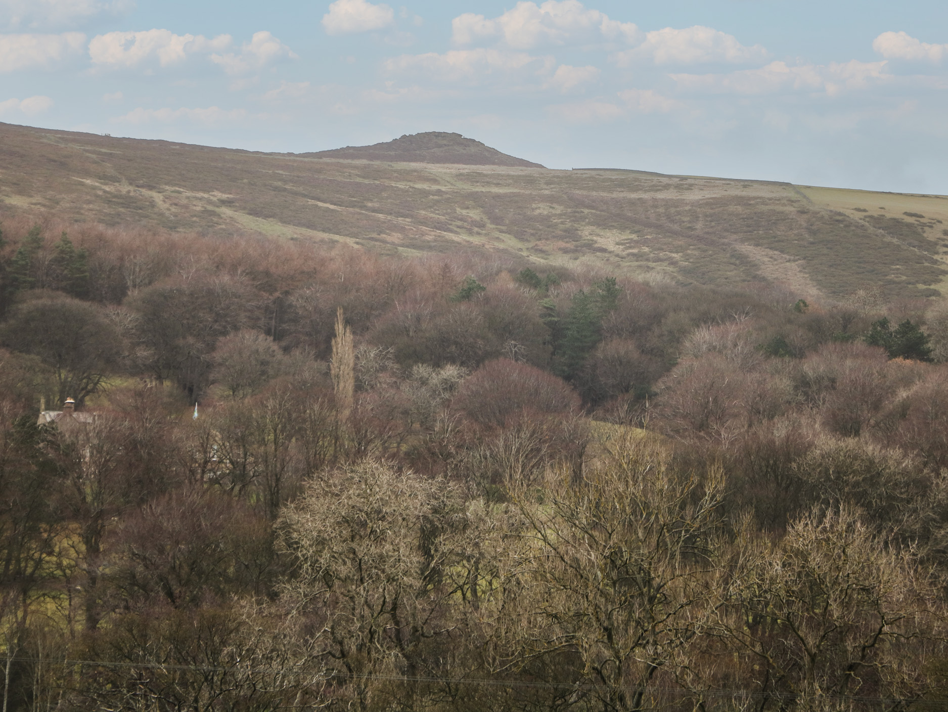 Property image 20 for SC1174798