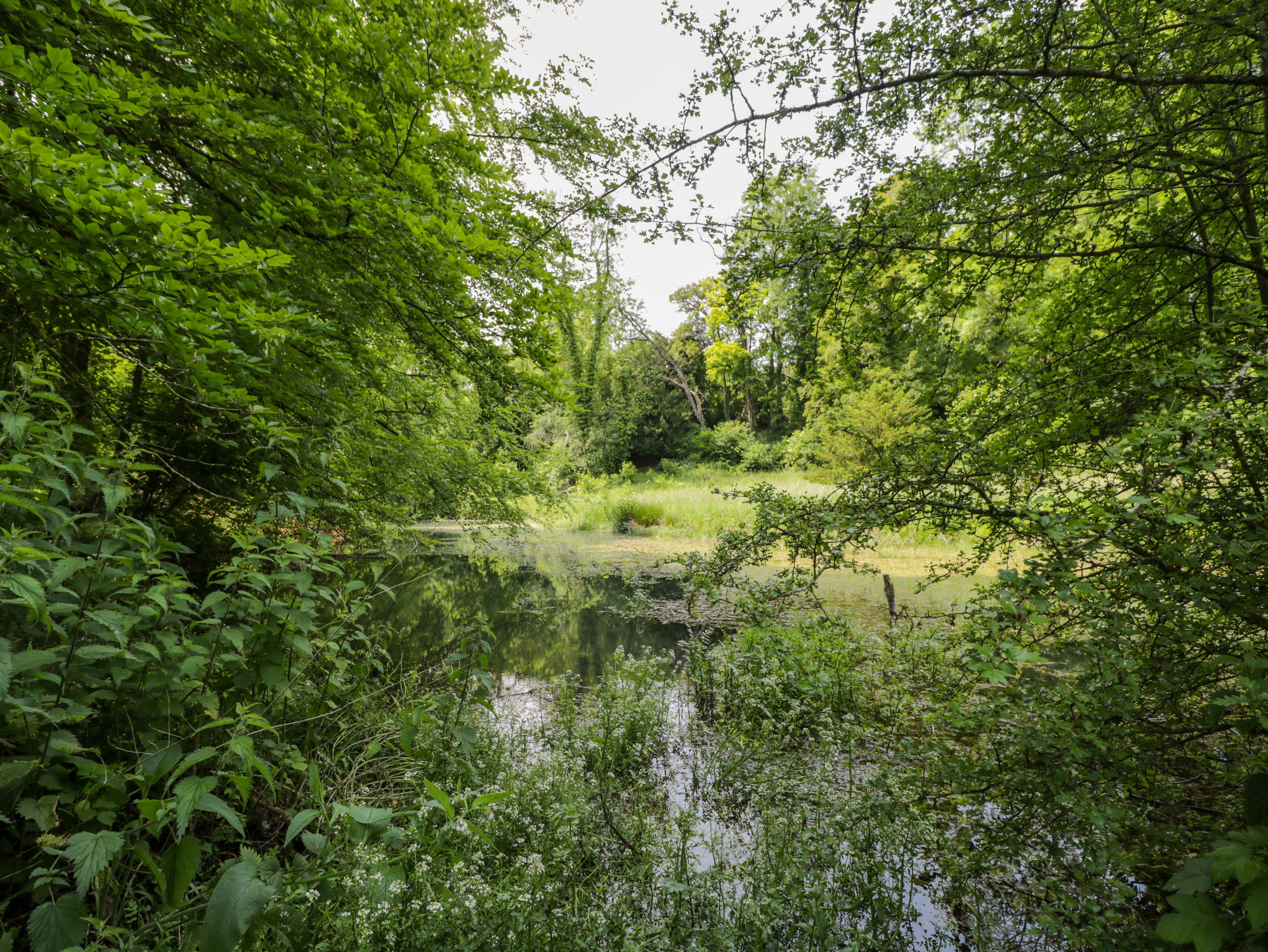 Property image 46 for SC1175129