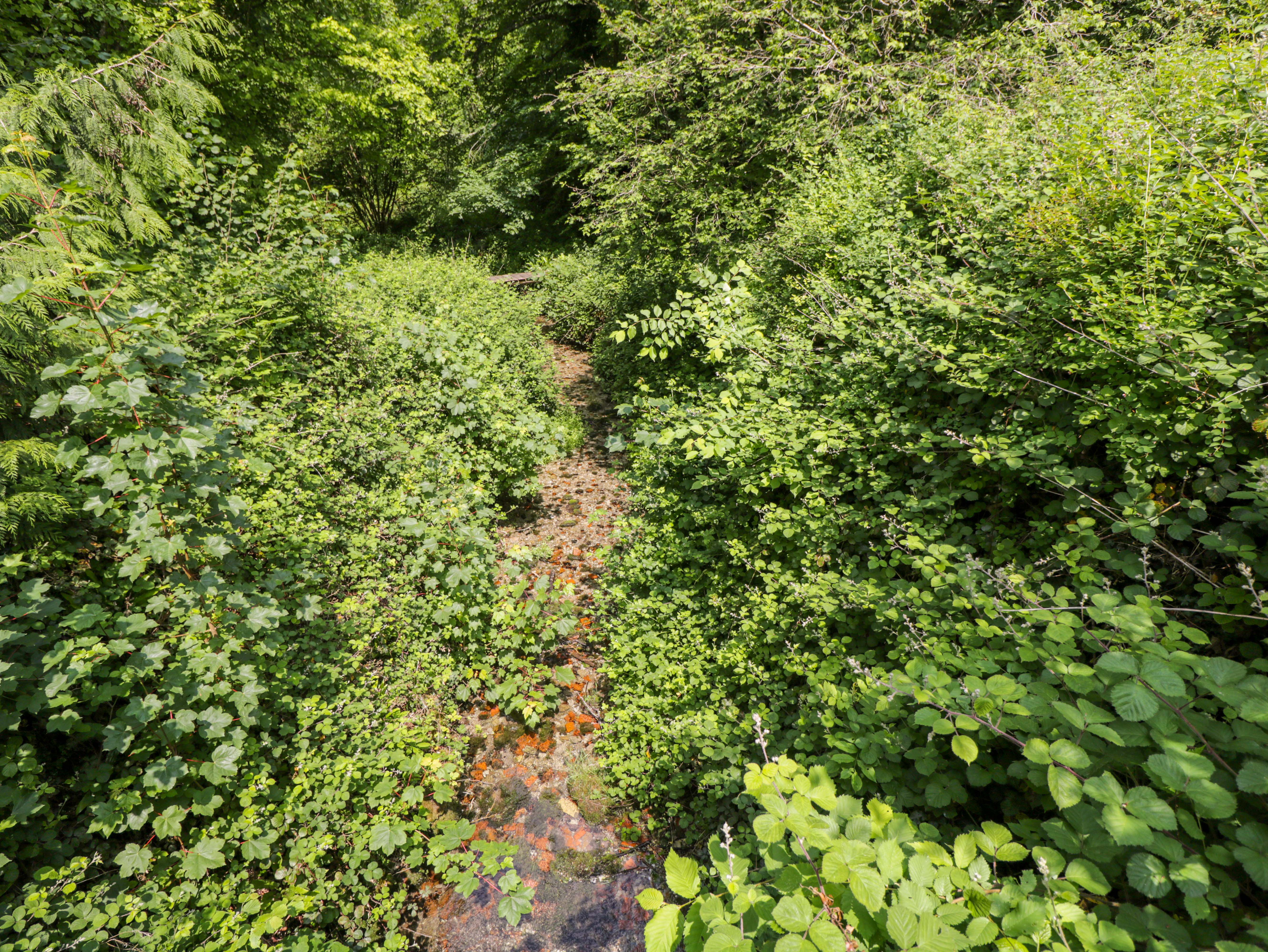 Property image 48 for SC1175129