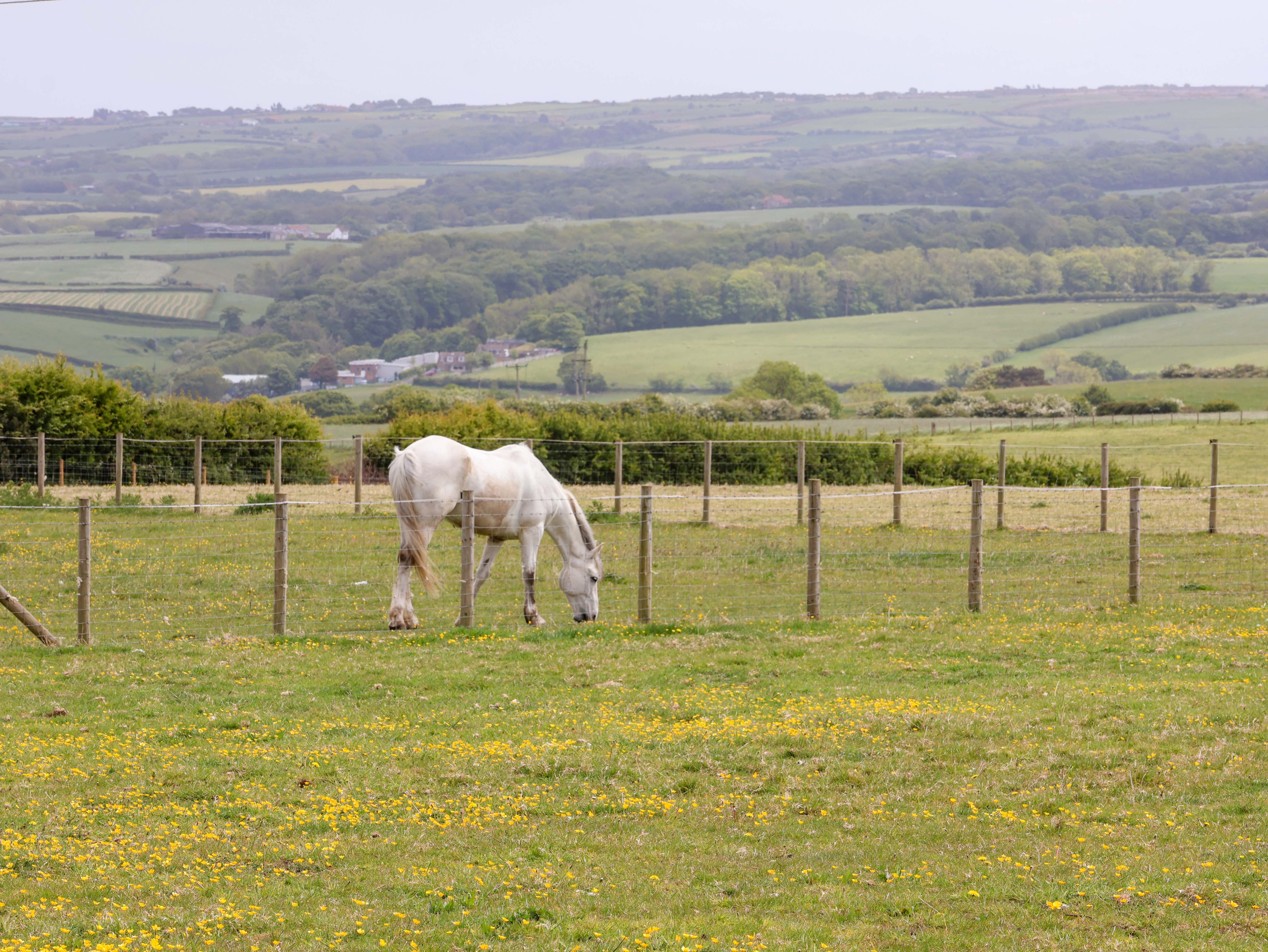 Property image 81 for SC1175168