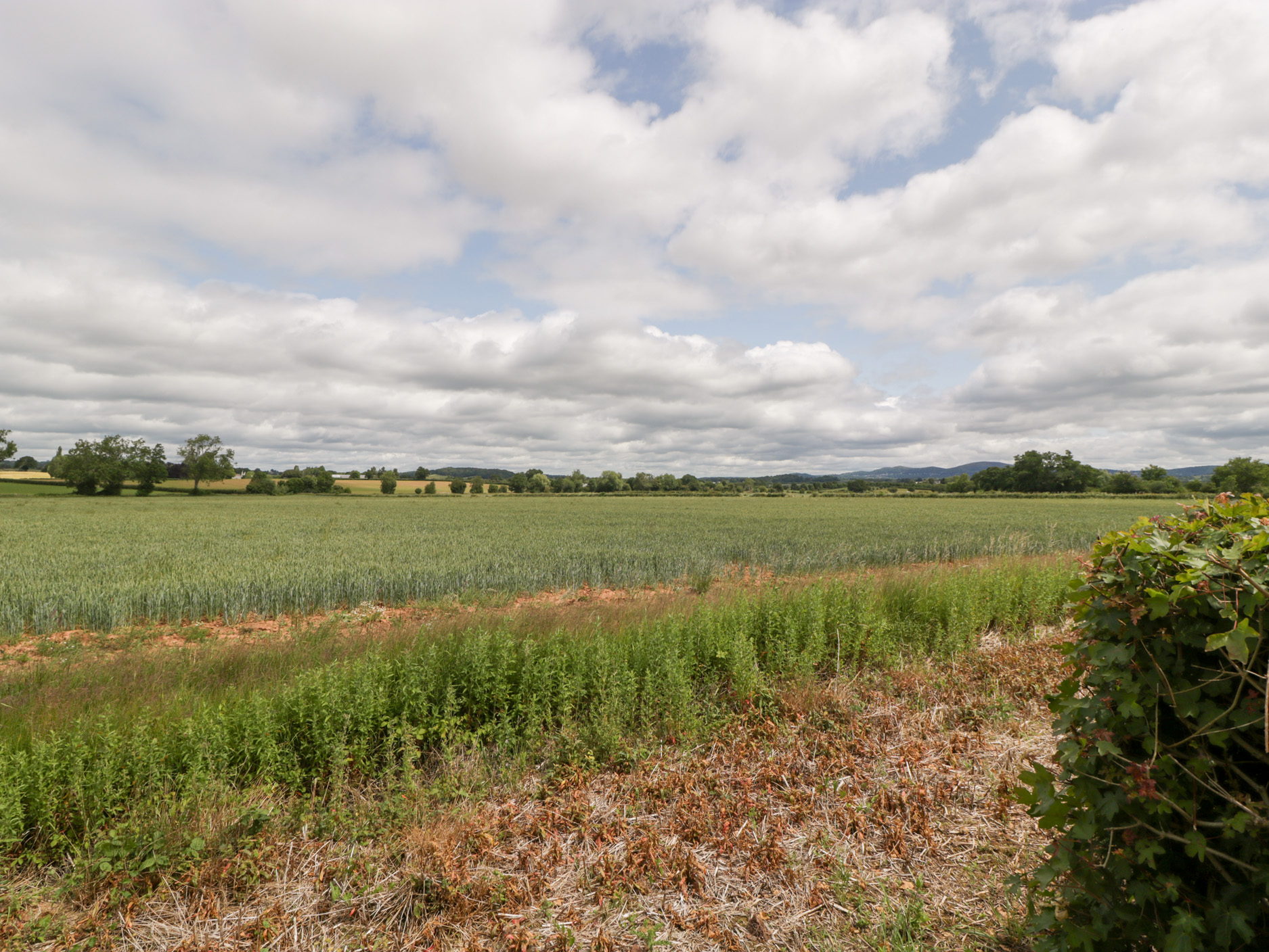 Property image 29 for SC1175225