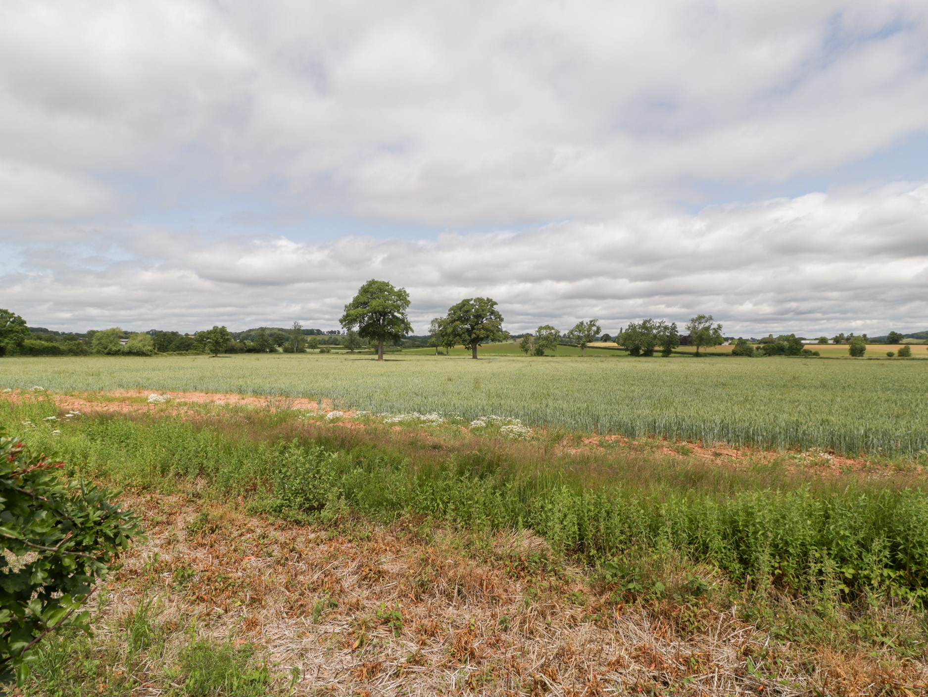 Property image 30 for SC1175225