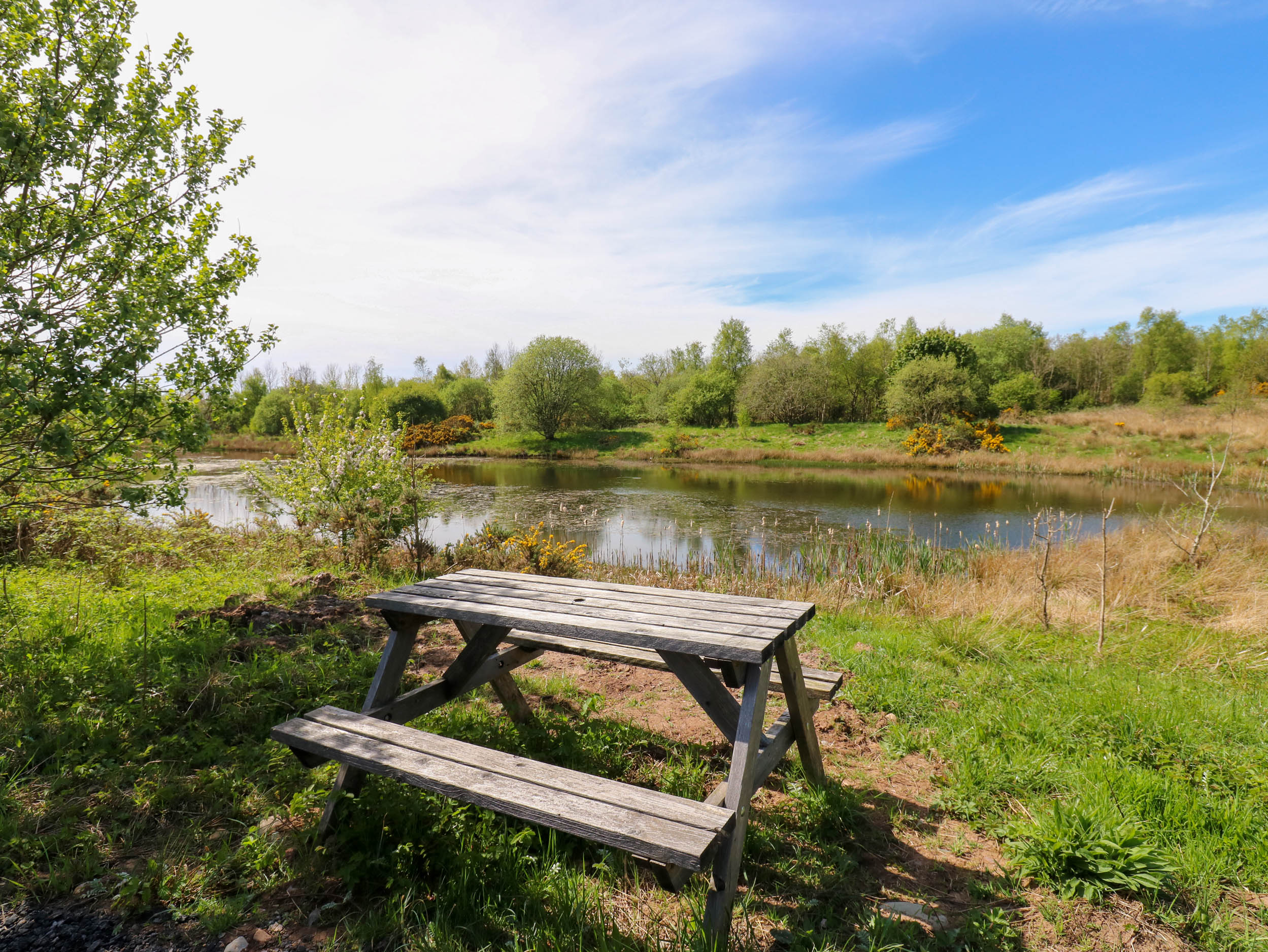 Property image 31 for SC1175295