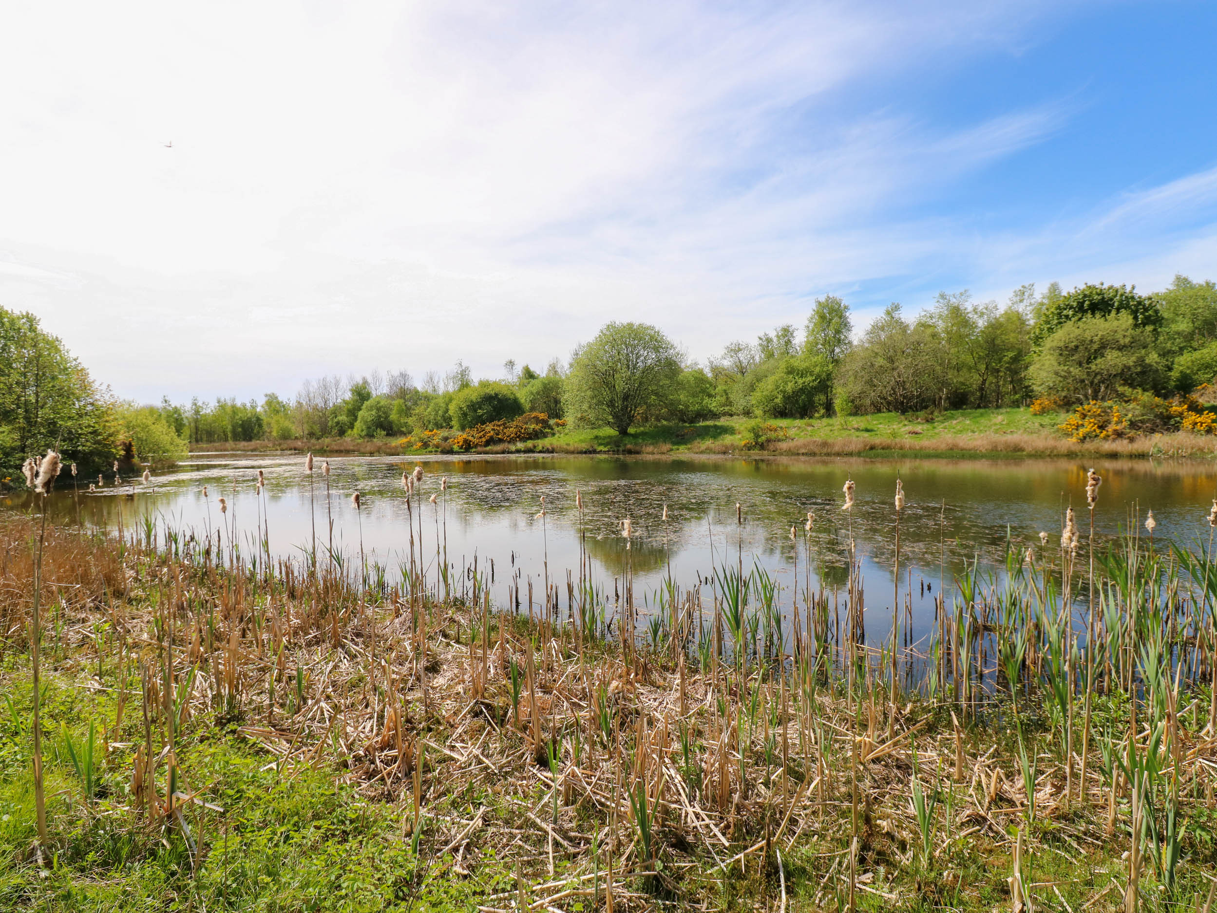 Property image 32 for SC1175295