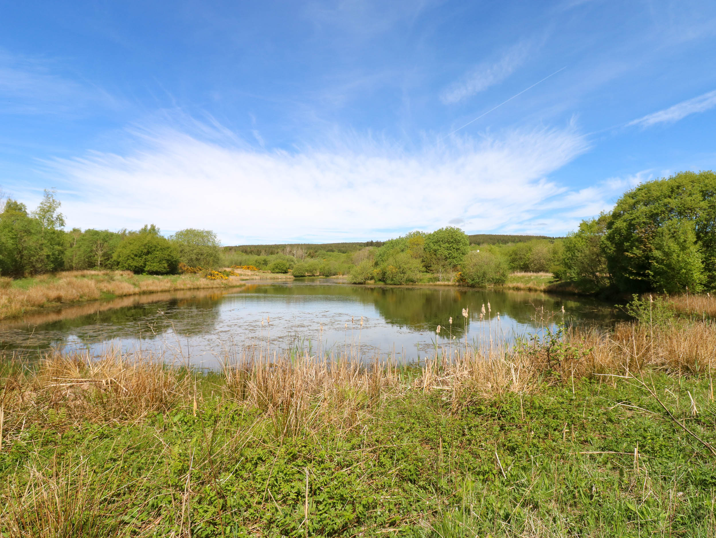 Property image 43 for SC1175298