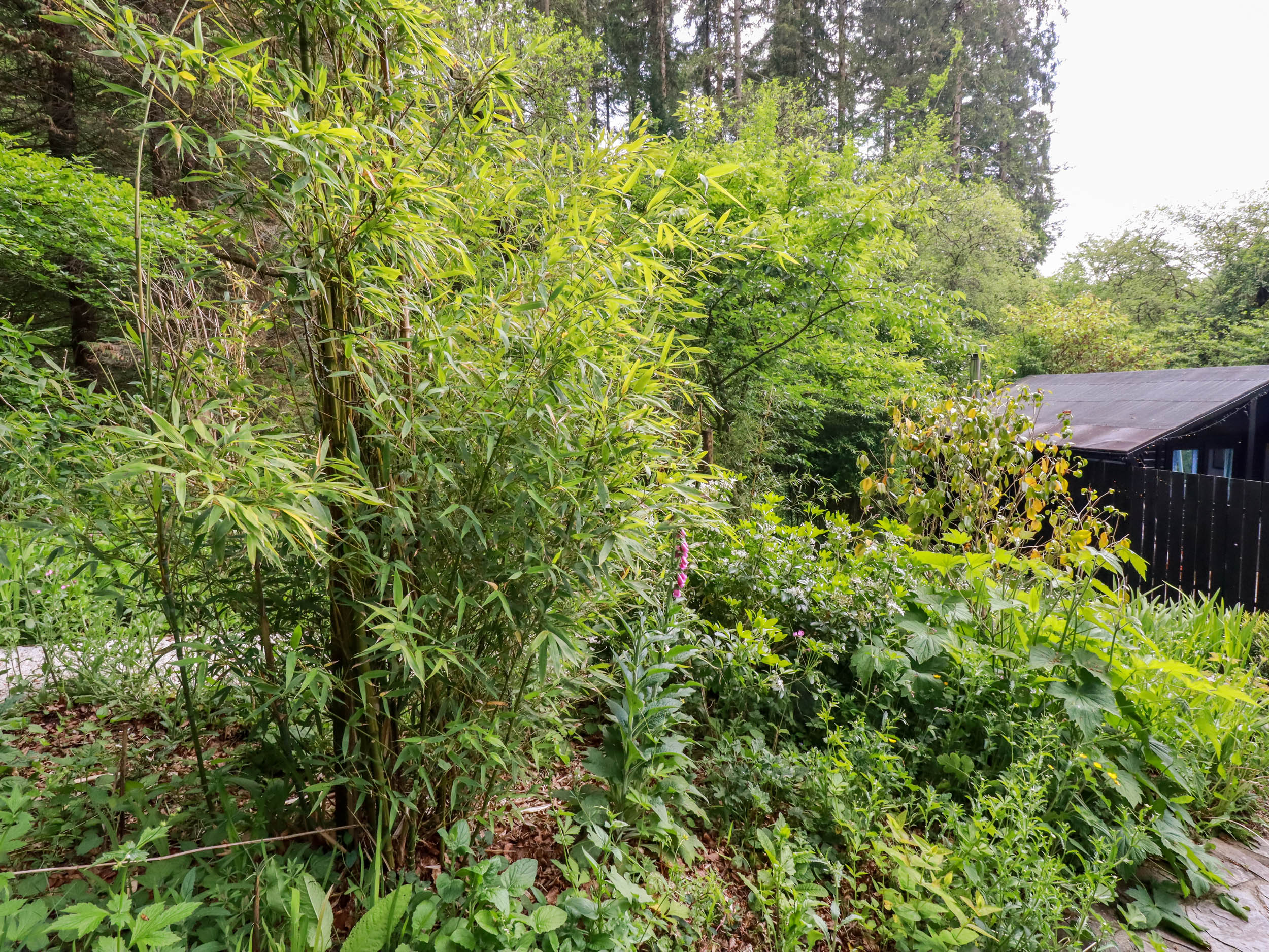 Property image 20 for SC1175414