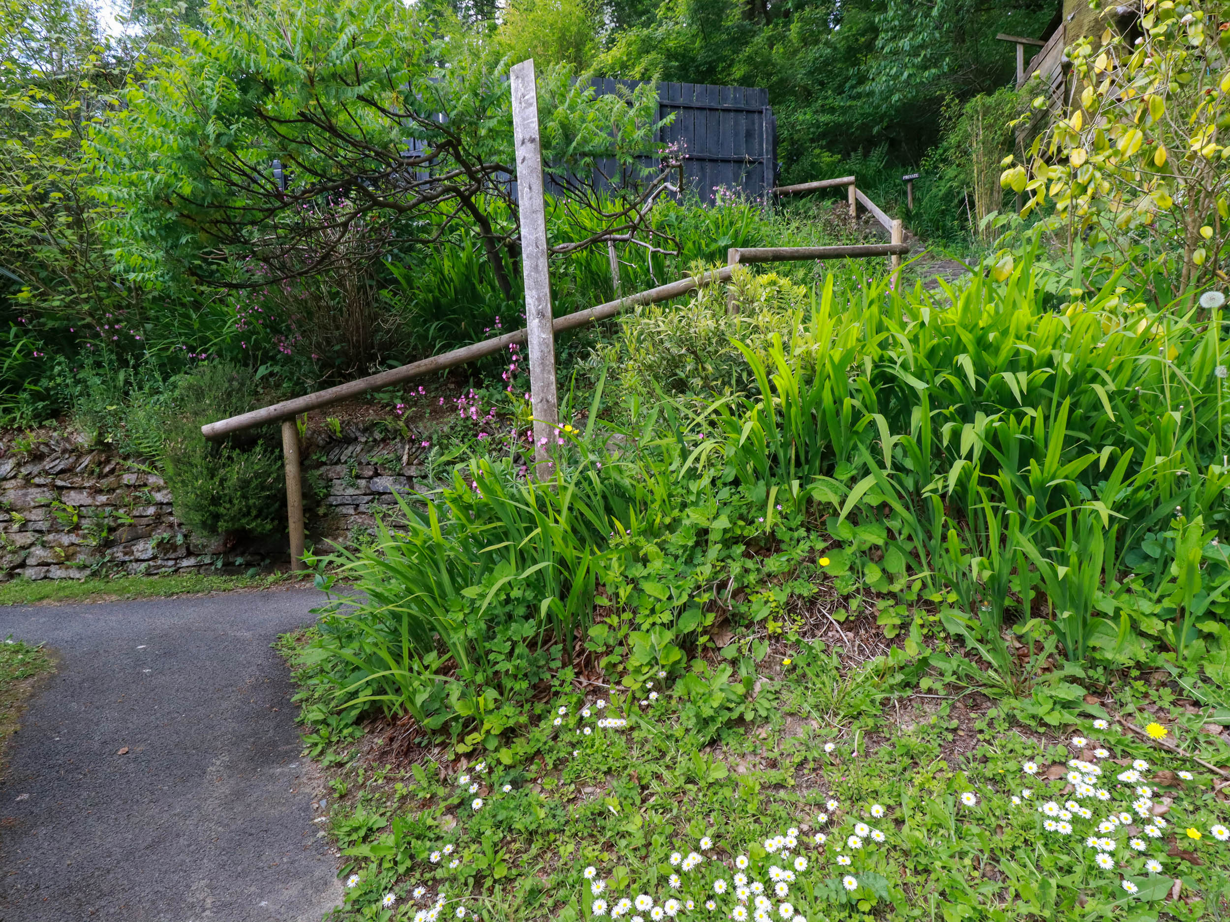 Property image 17 for SC1175415