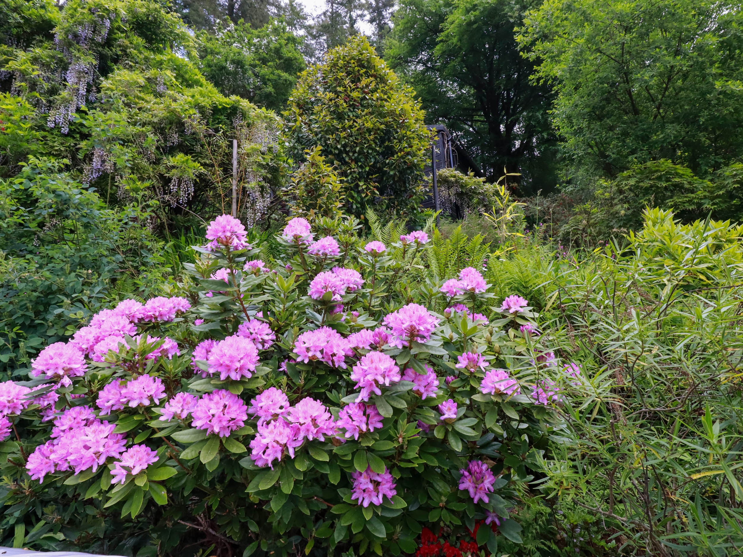 Property image 18 for SC1175415