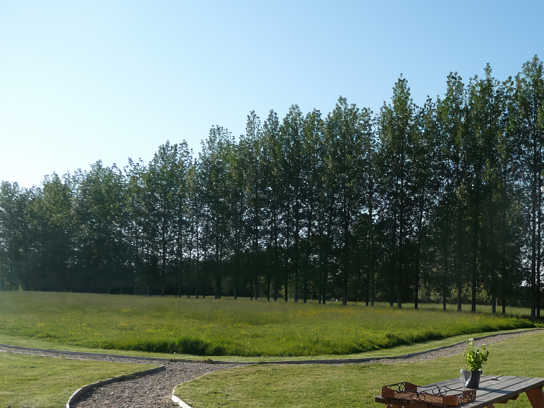 Property image 16 for SC1175767