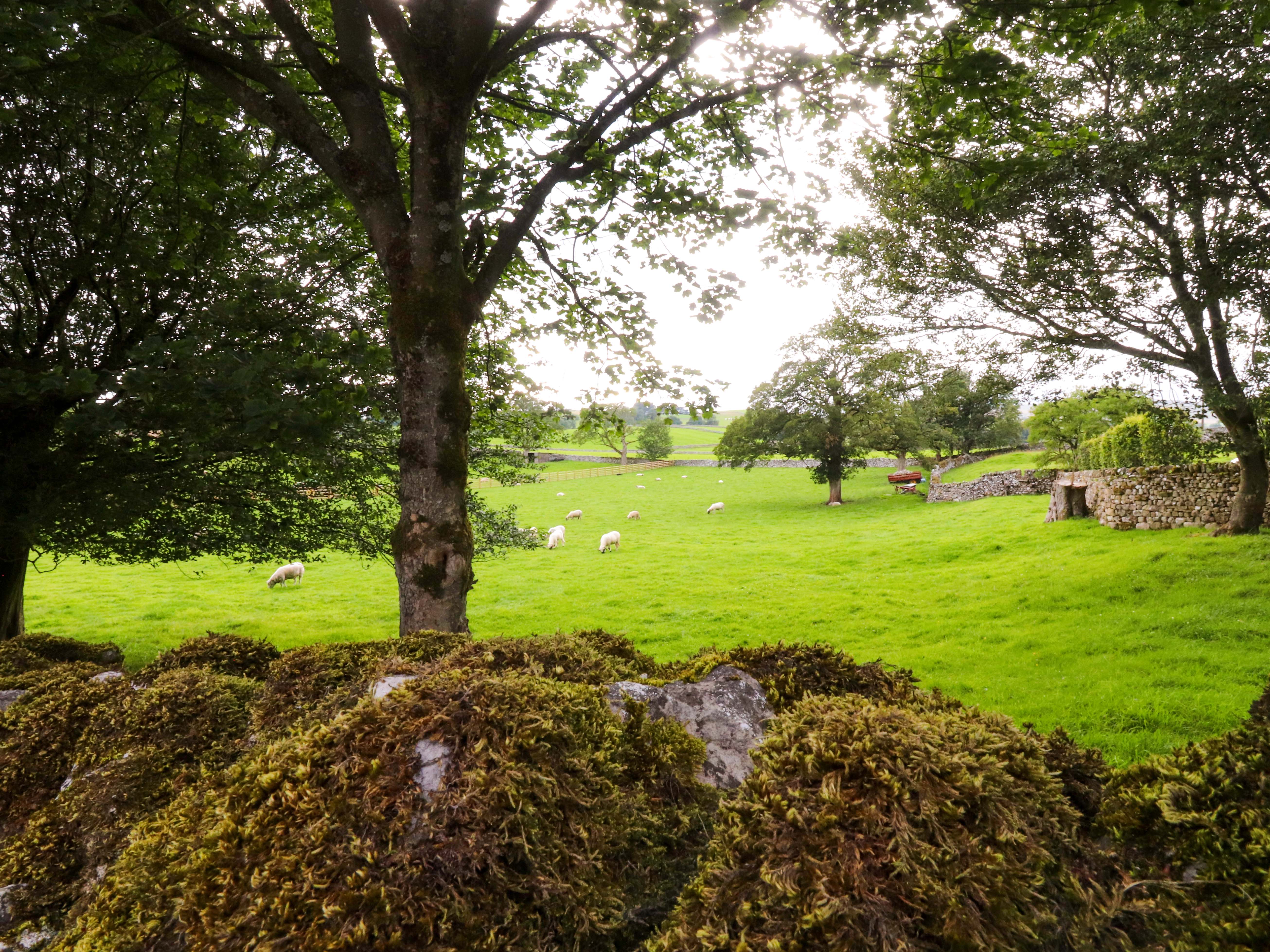 Property image 38 for SC1175773