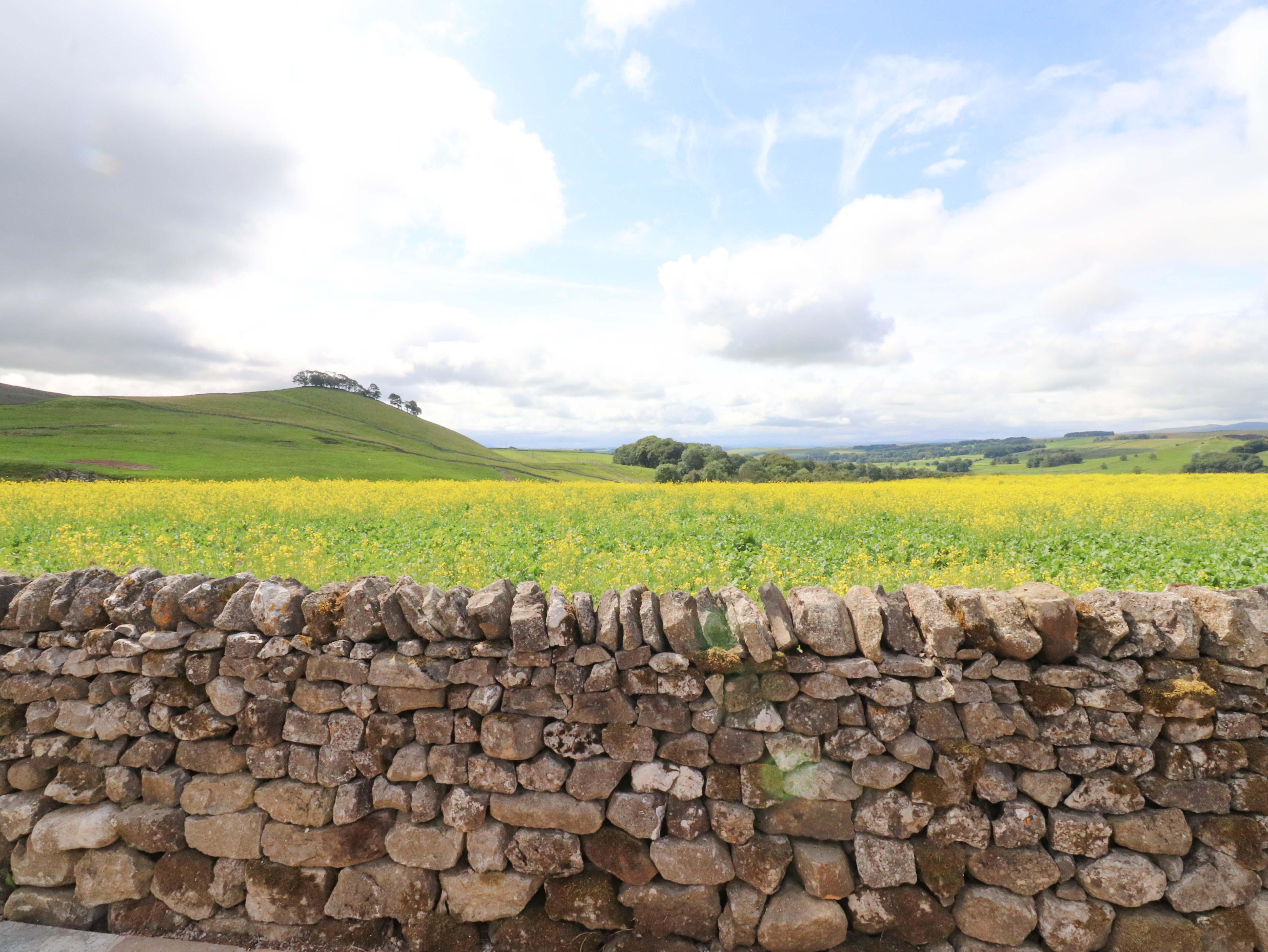 Property image 83 for SC1175774