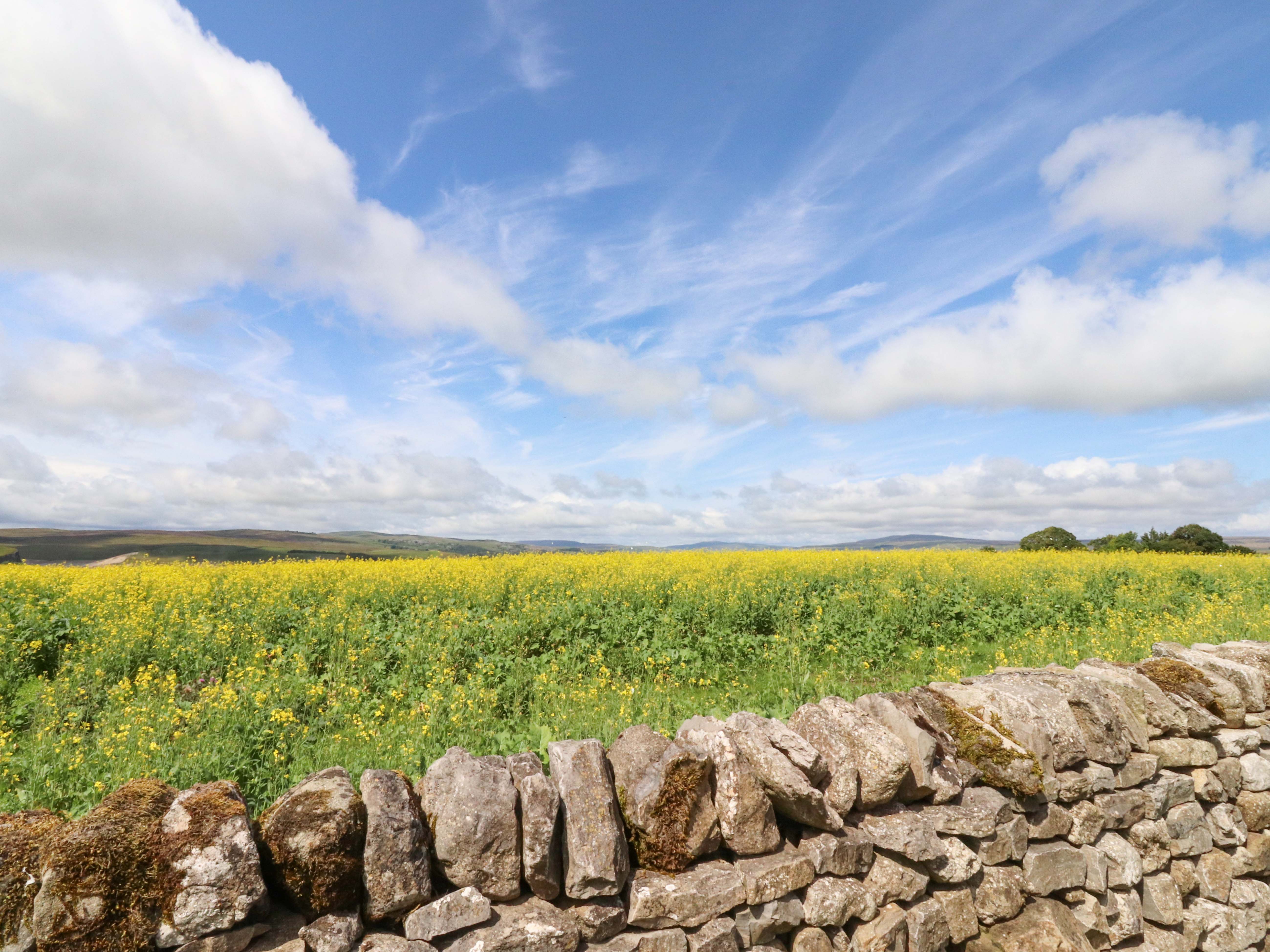 Property image 84 for SC1175774