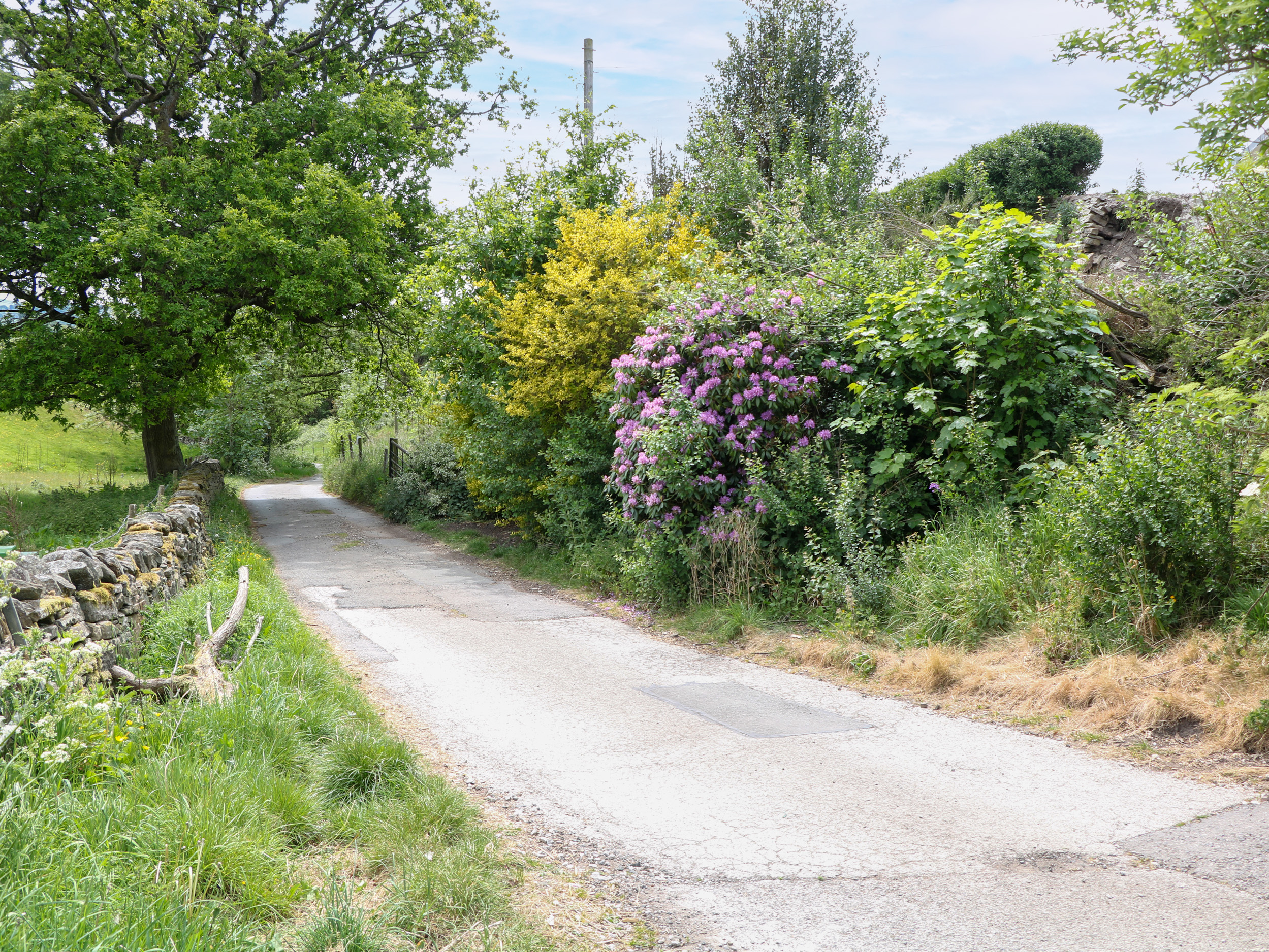 Property image 20 for SC1176360