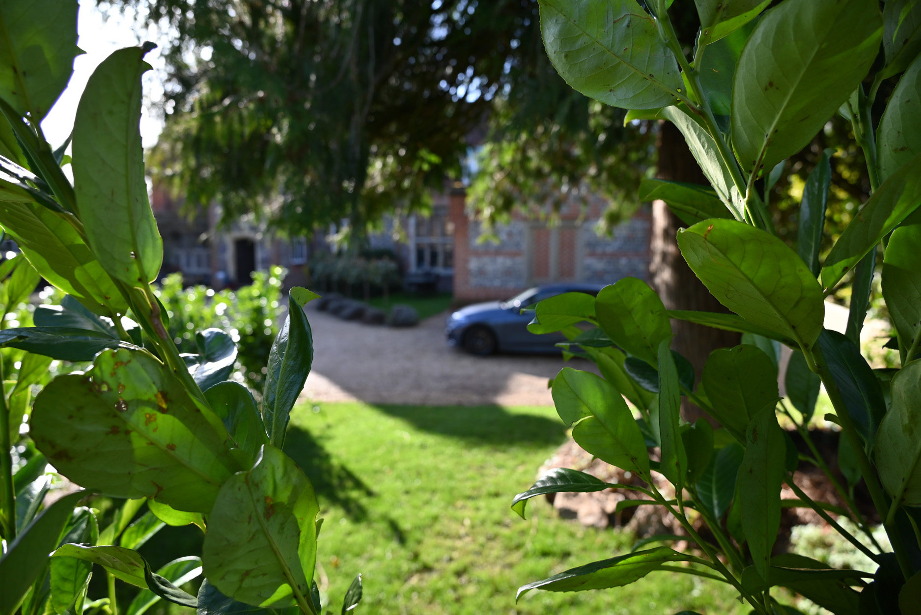 Property image 15 for SC1176361