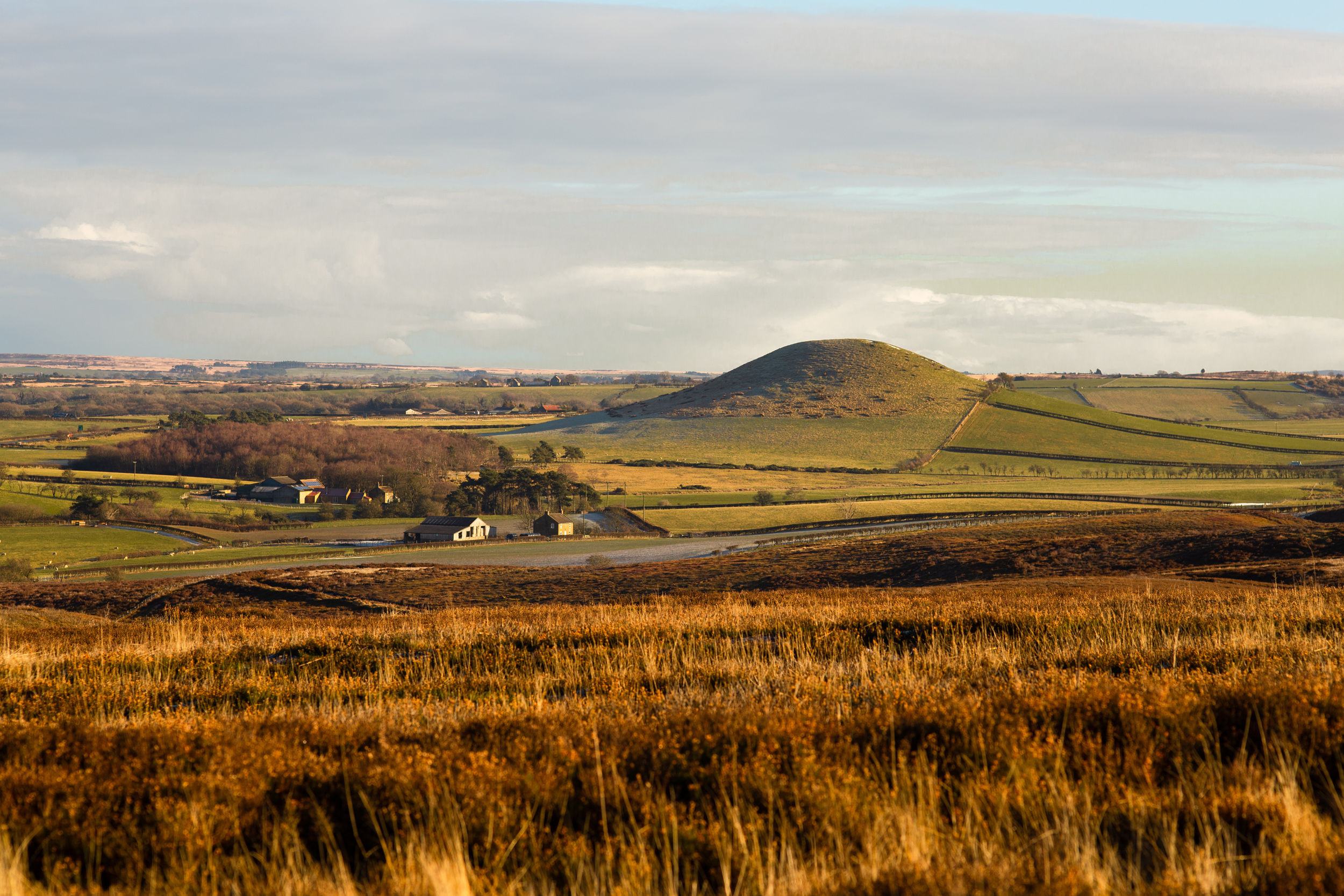 Property image 39 for SC1176609