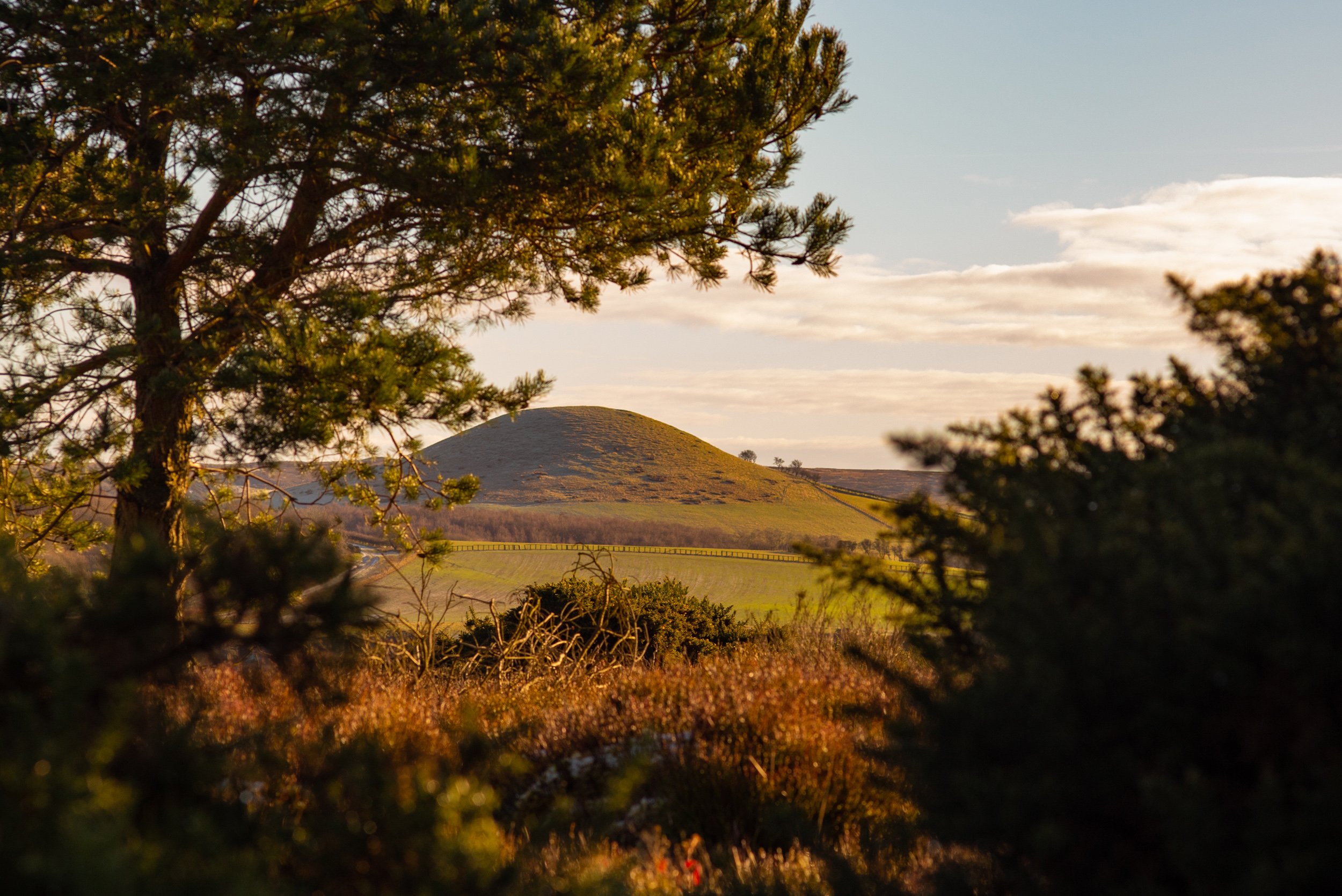 Property image 40 for SC1176609