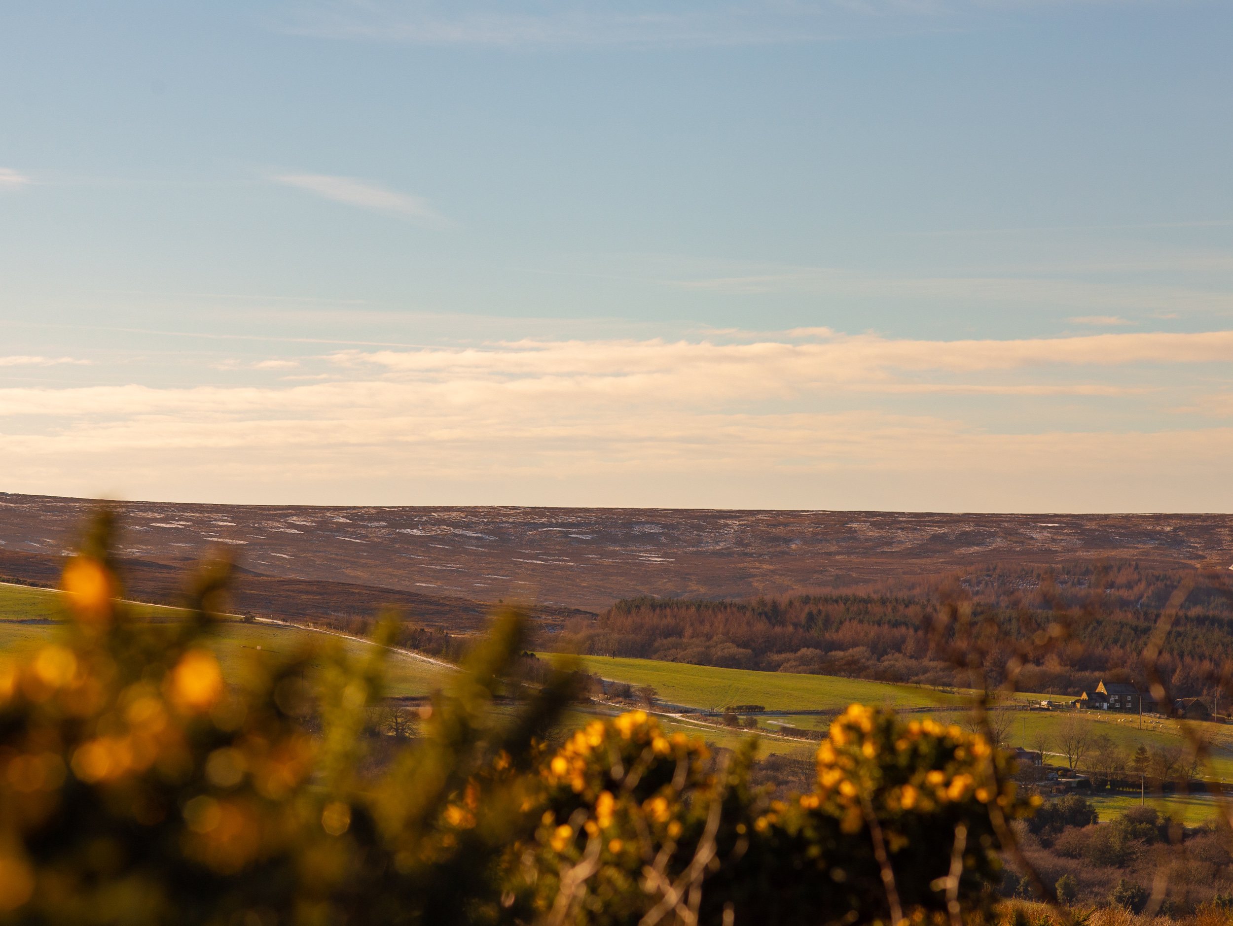 Property image 43 for SC1176609