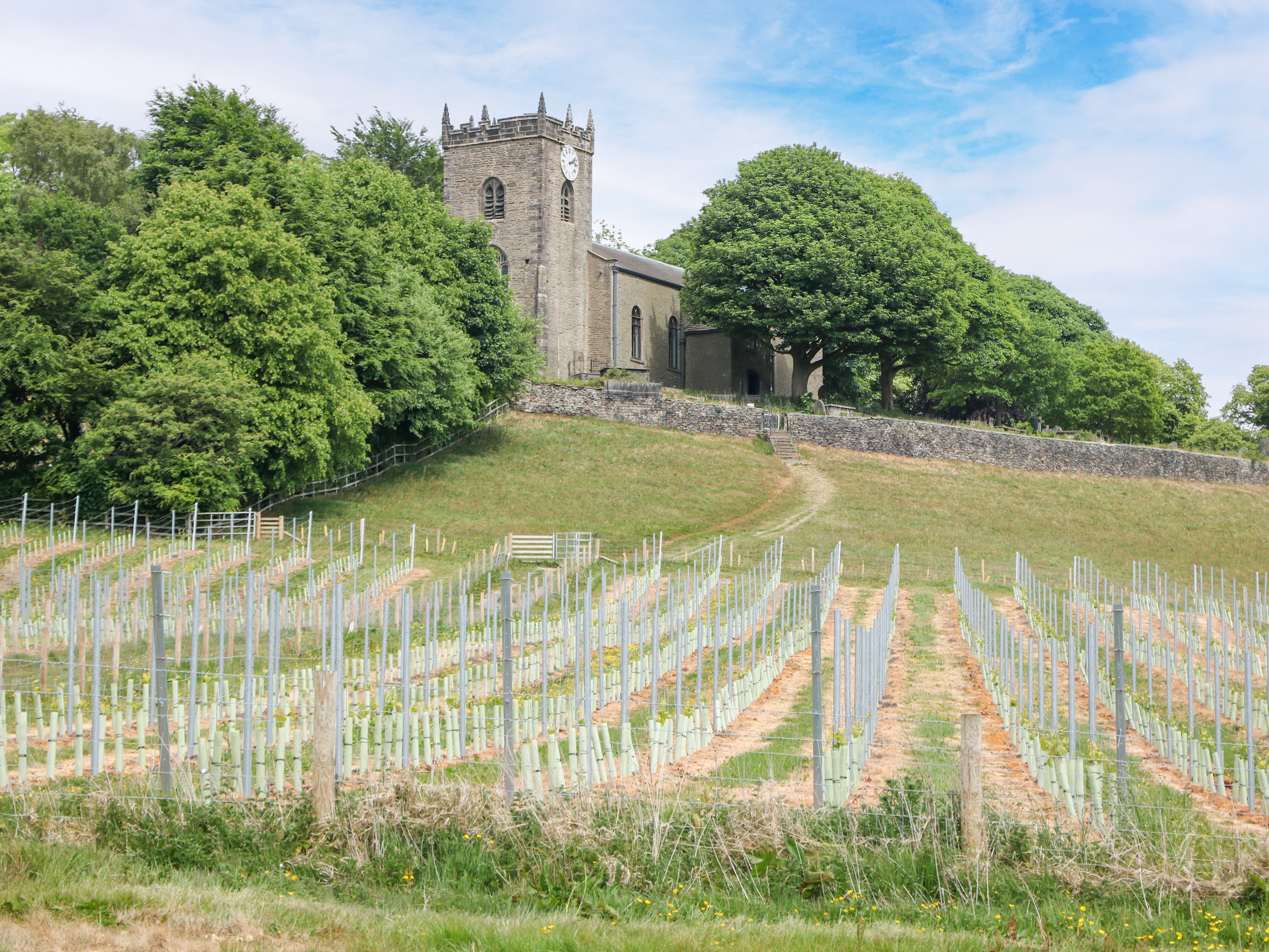 Property image 19 for SC1176720