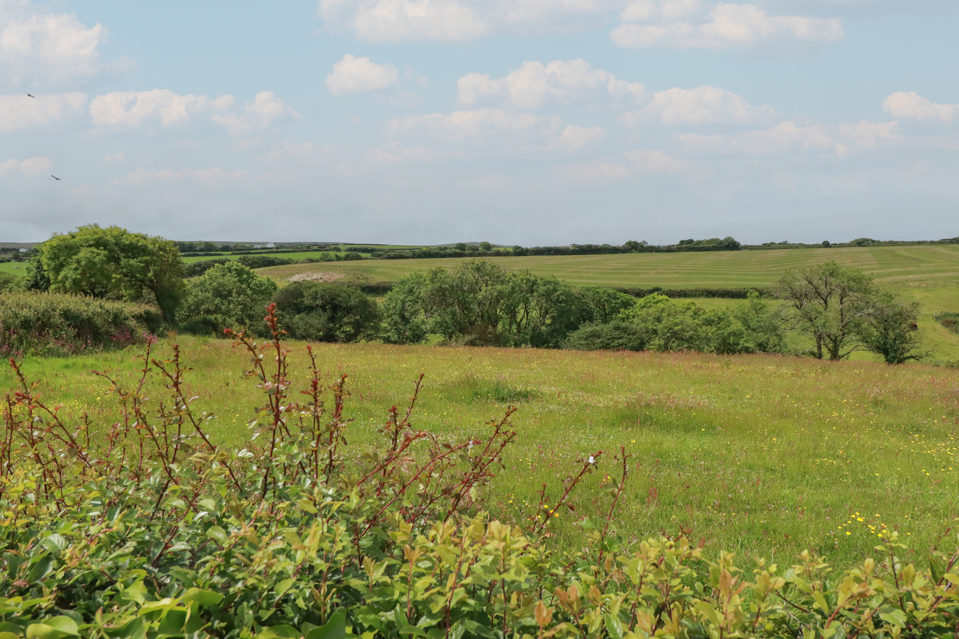 Property image 24 for SC1176860