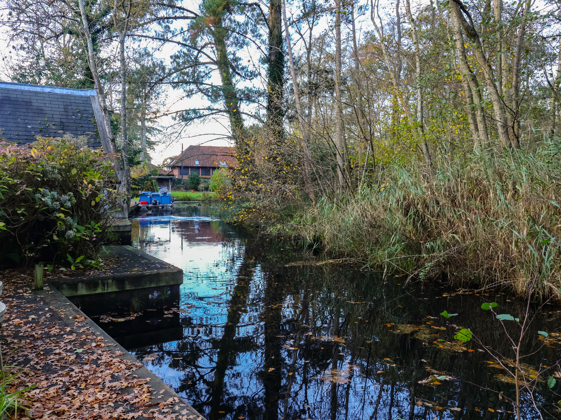 Property image 37 for SC1177307