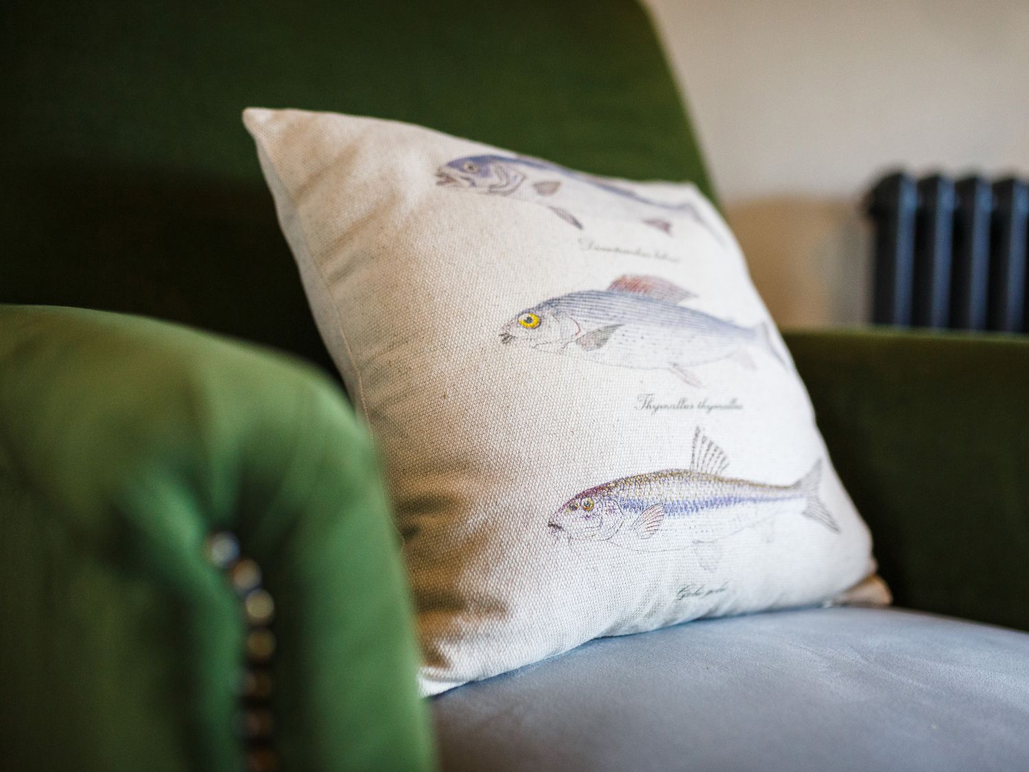 Property image 55 for SC1177317