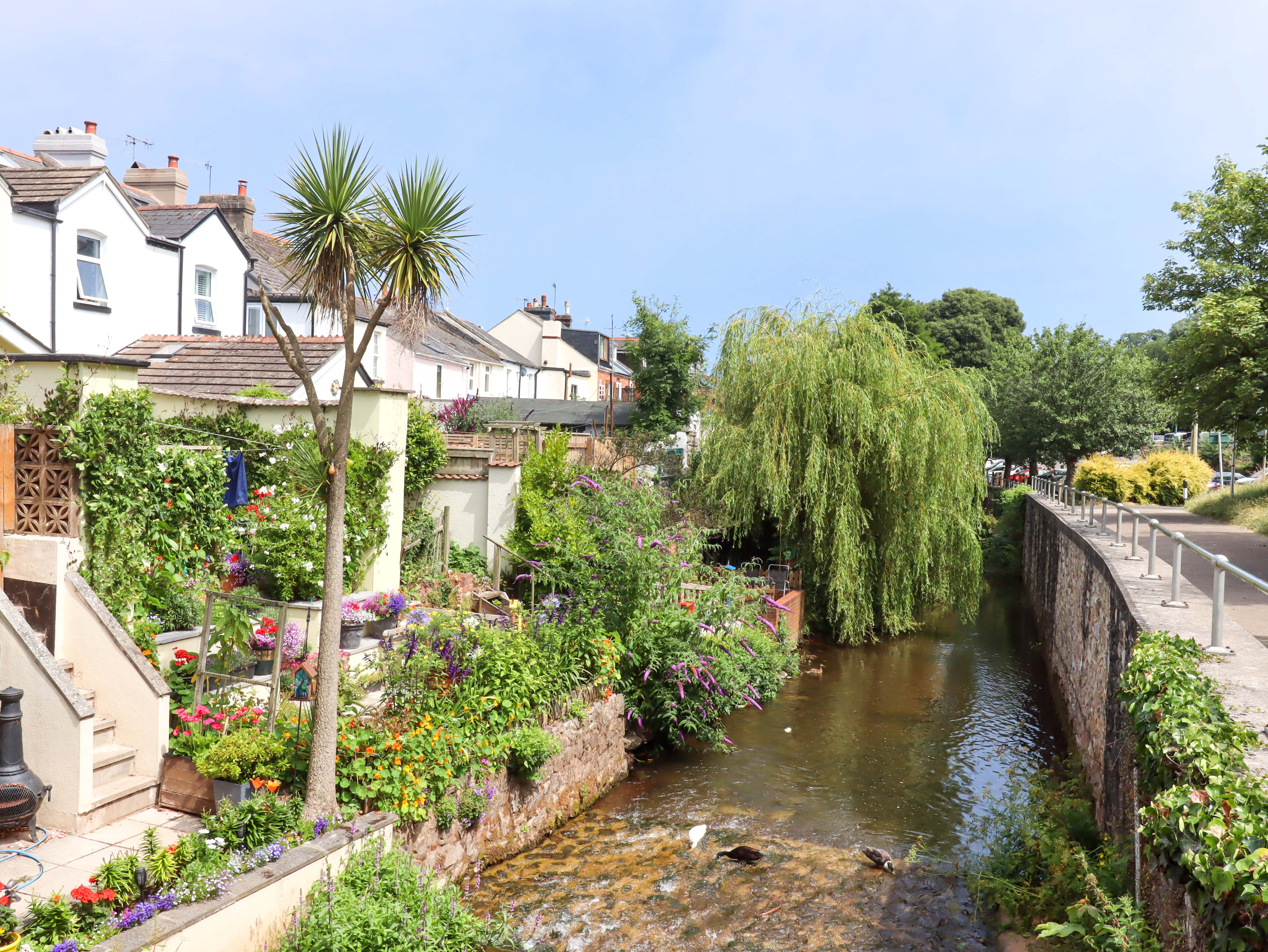 Property image 35 for SC1177494