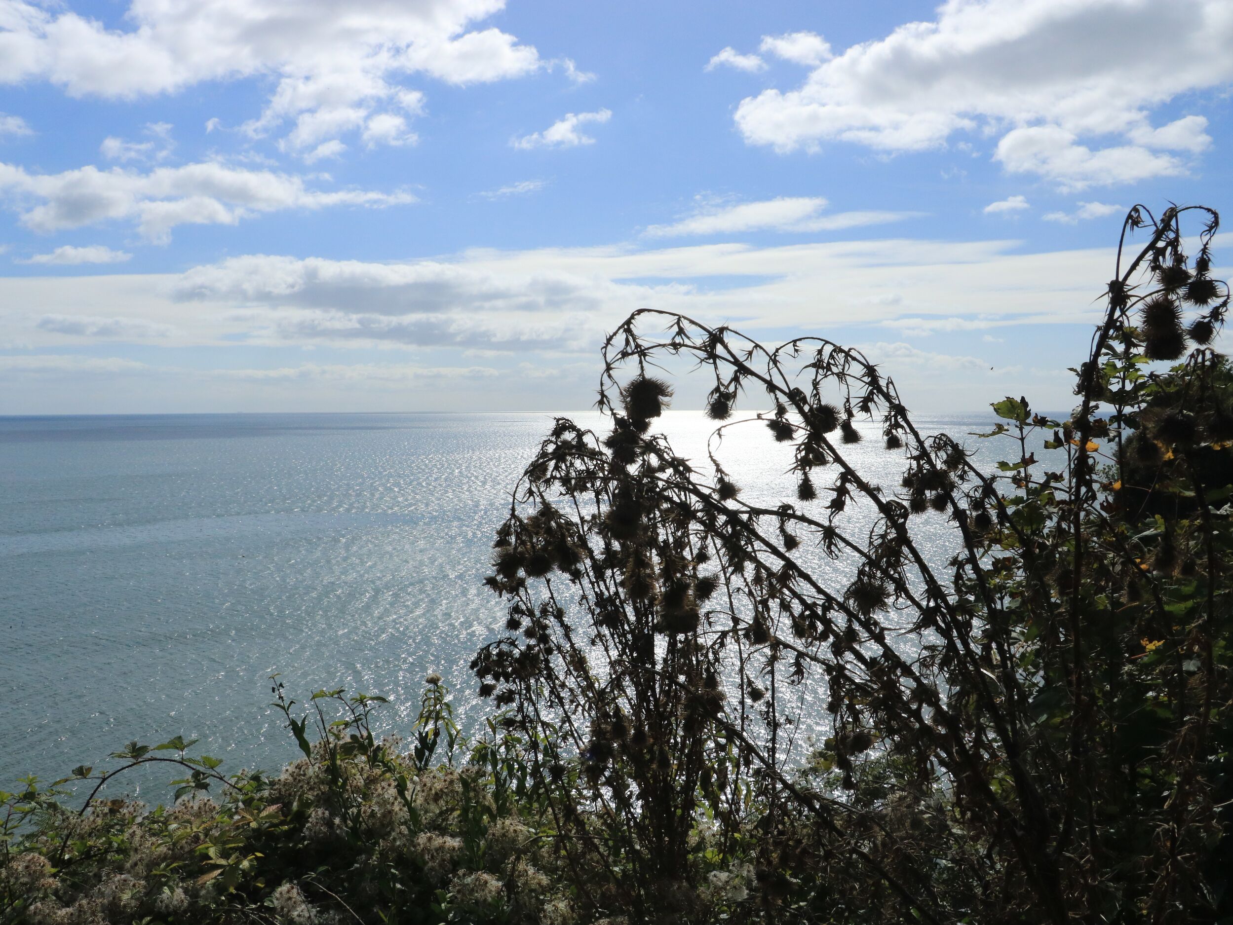 Property image 36 for SC1177494