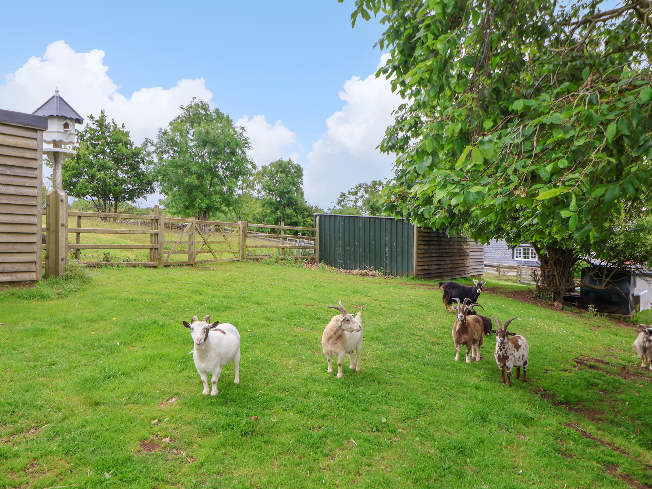 Property image 22 for SC1177534