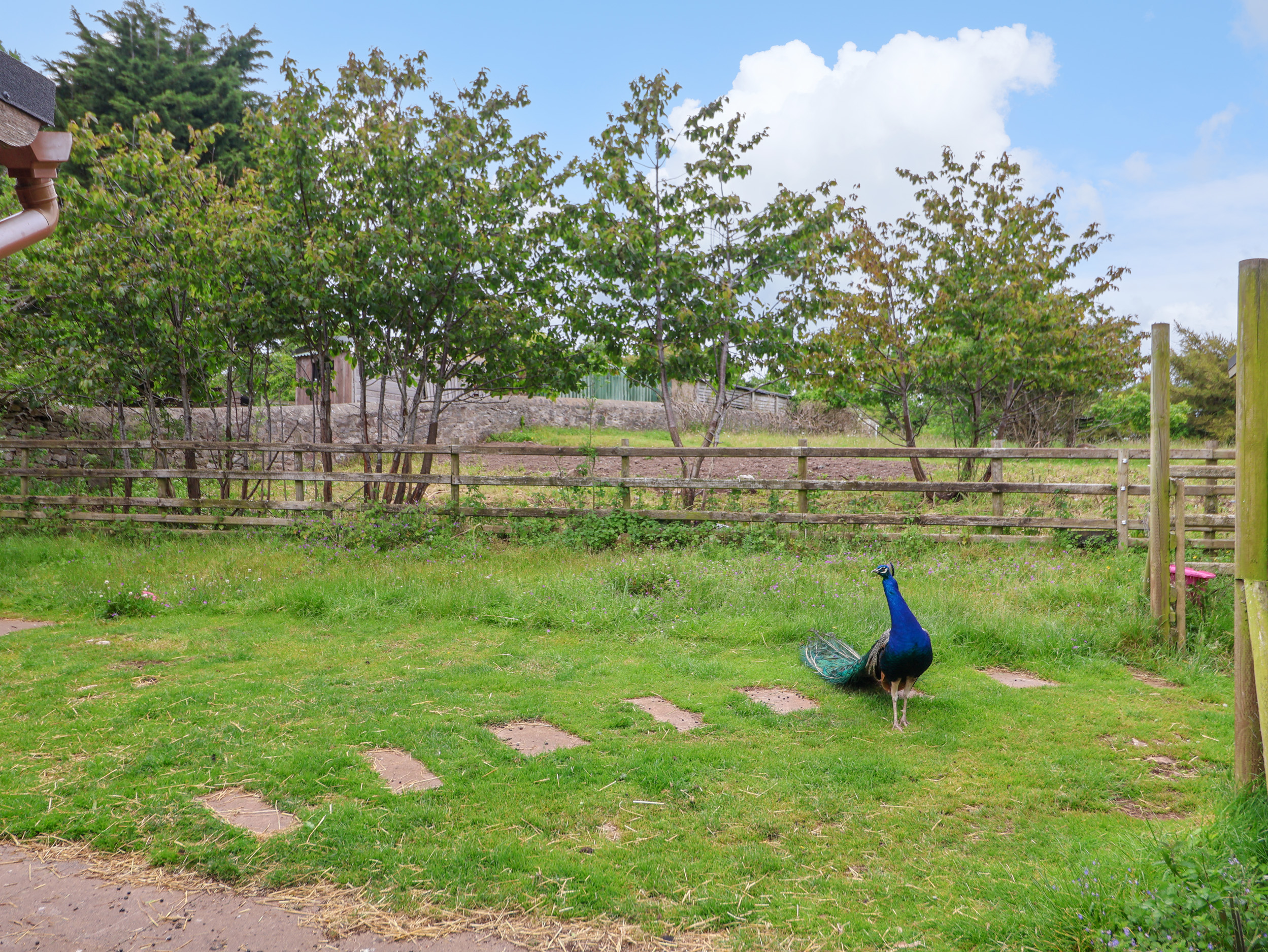 Property image 23 for SC1177534
