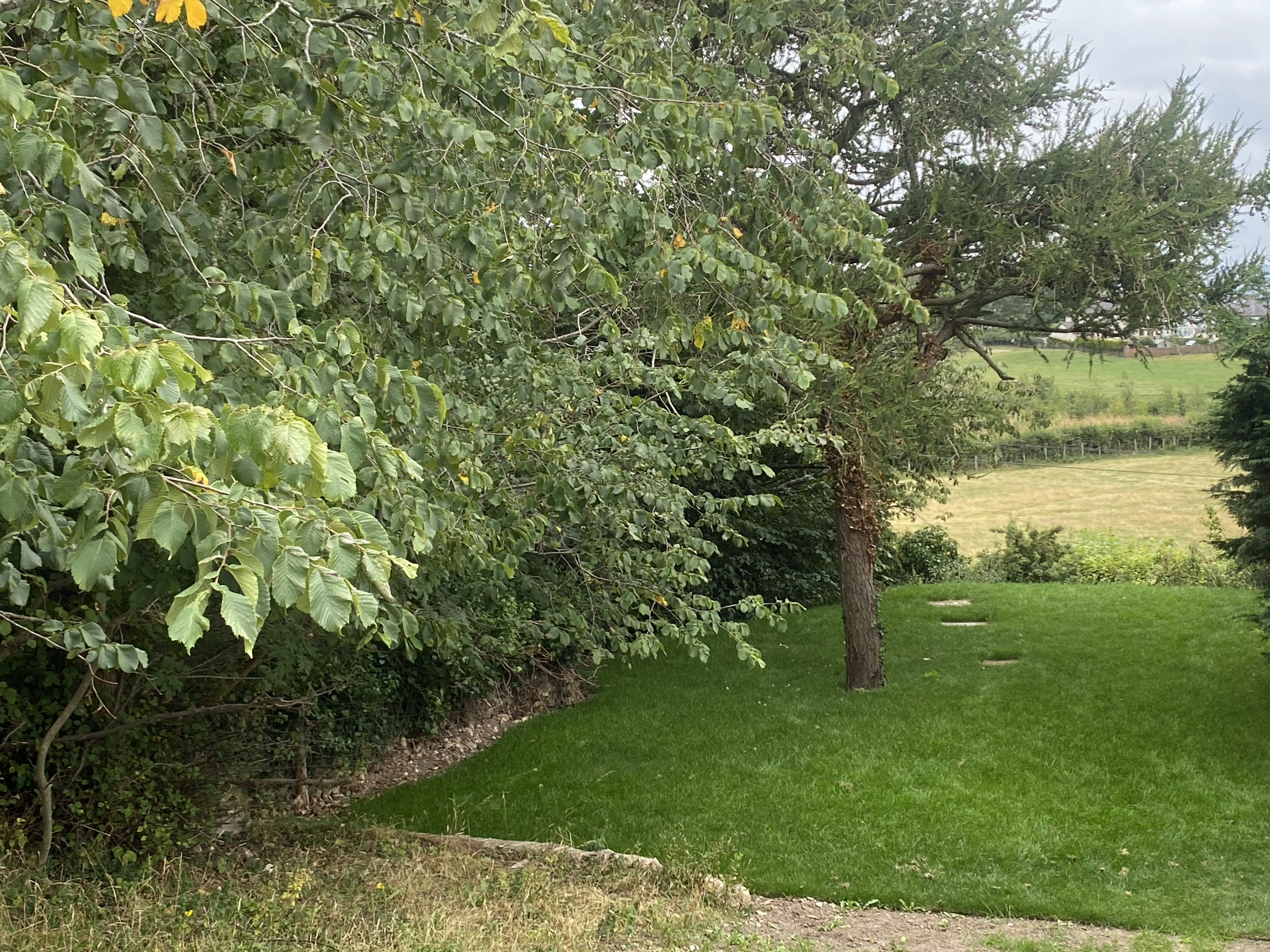 Property image 20 for SC1177534