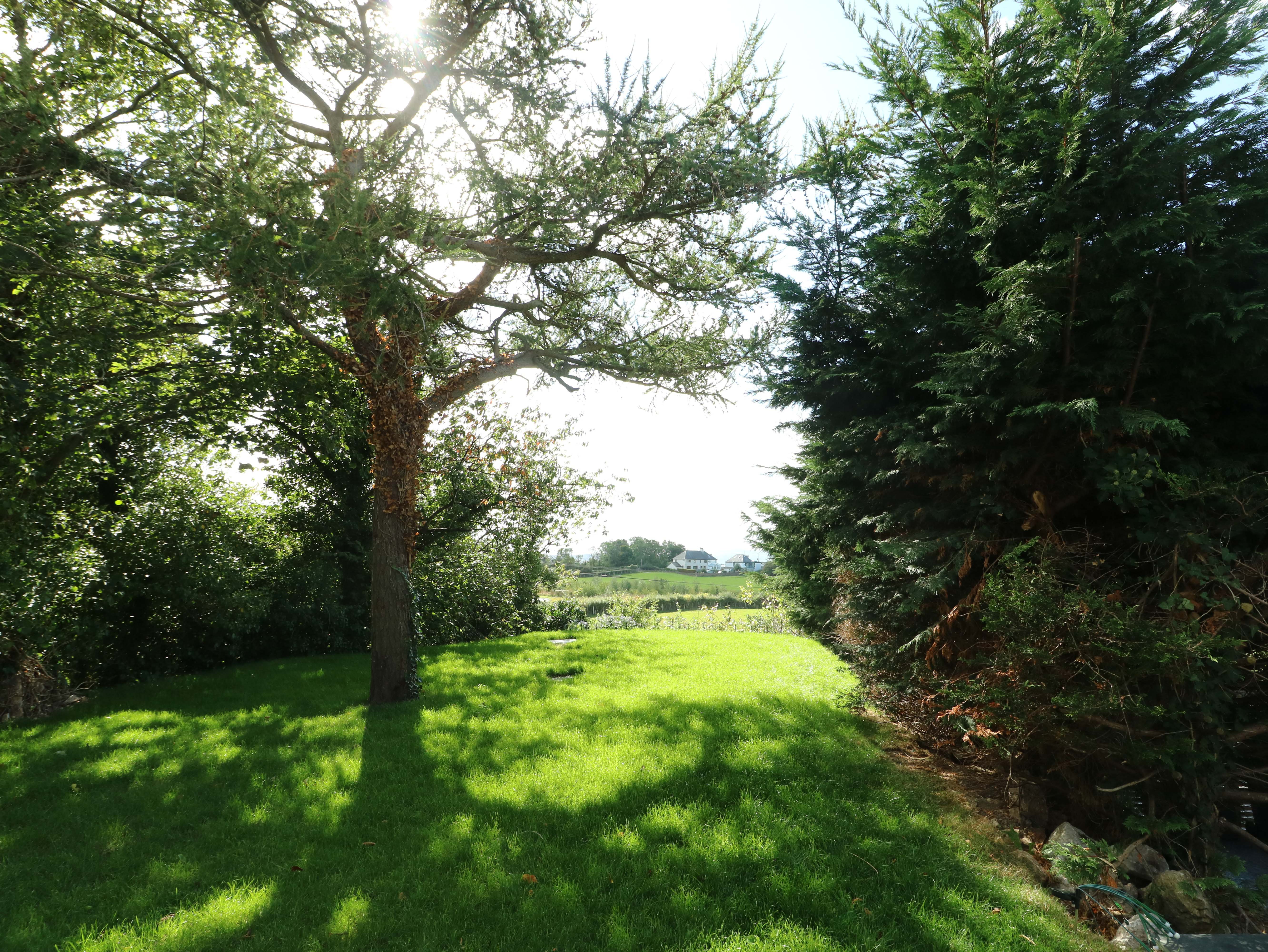 Property image 16 for SC1177534