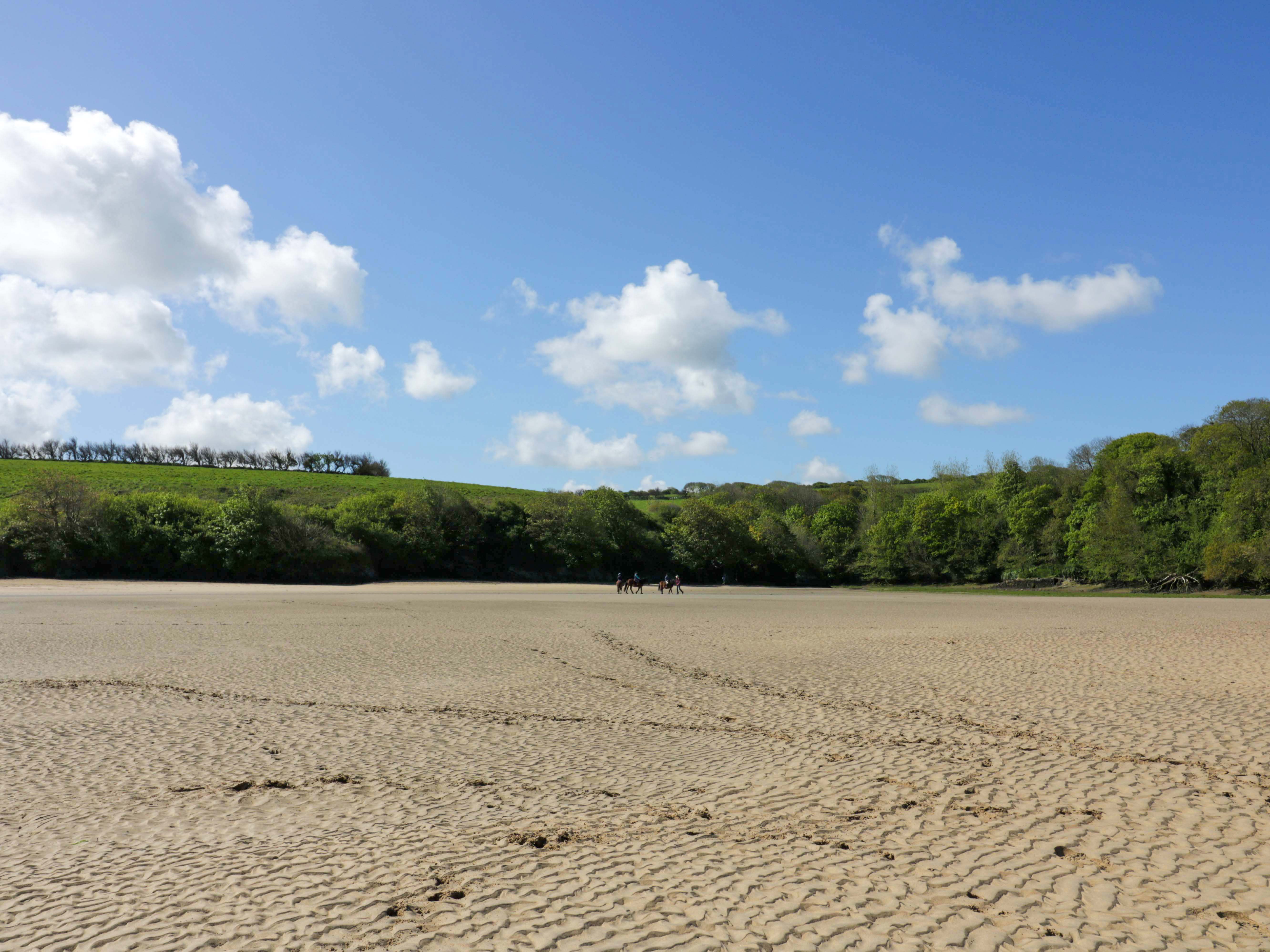 Property image 25 for SC1177867