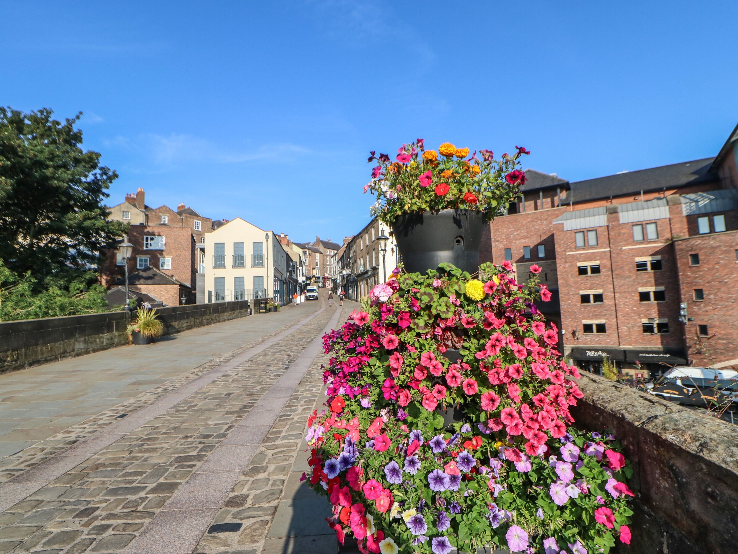 Property image 73 for SC1177887