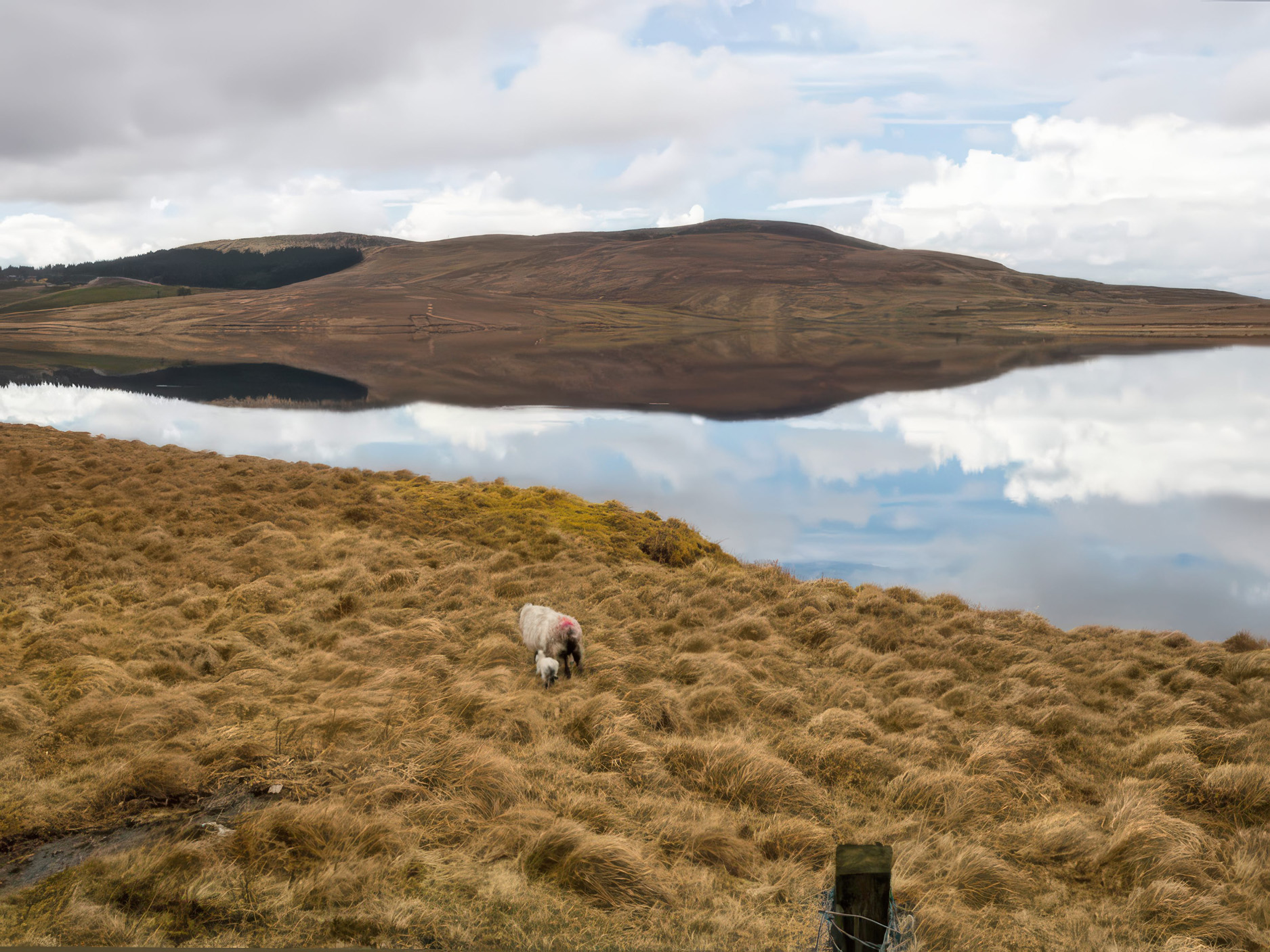 Property image 22 for SC1178091