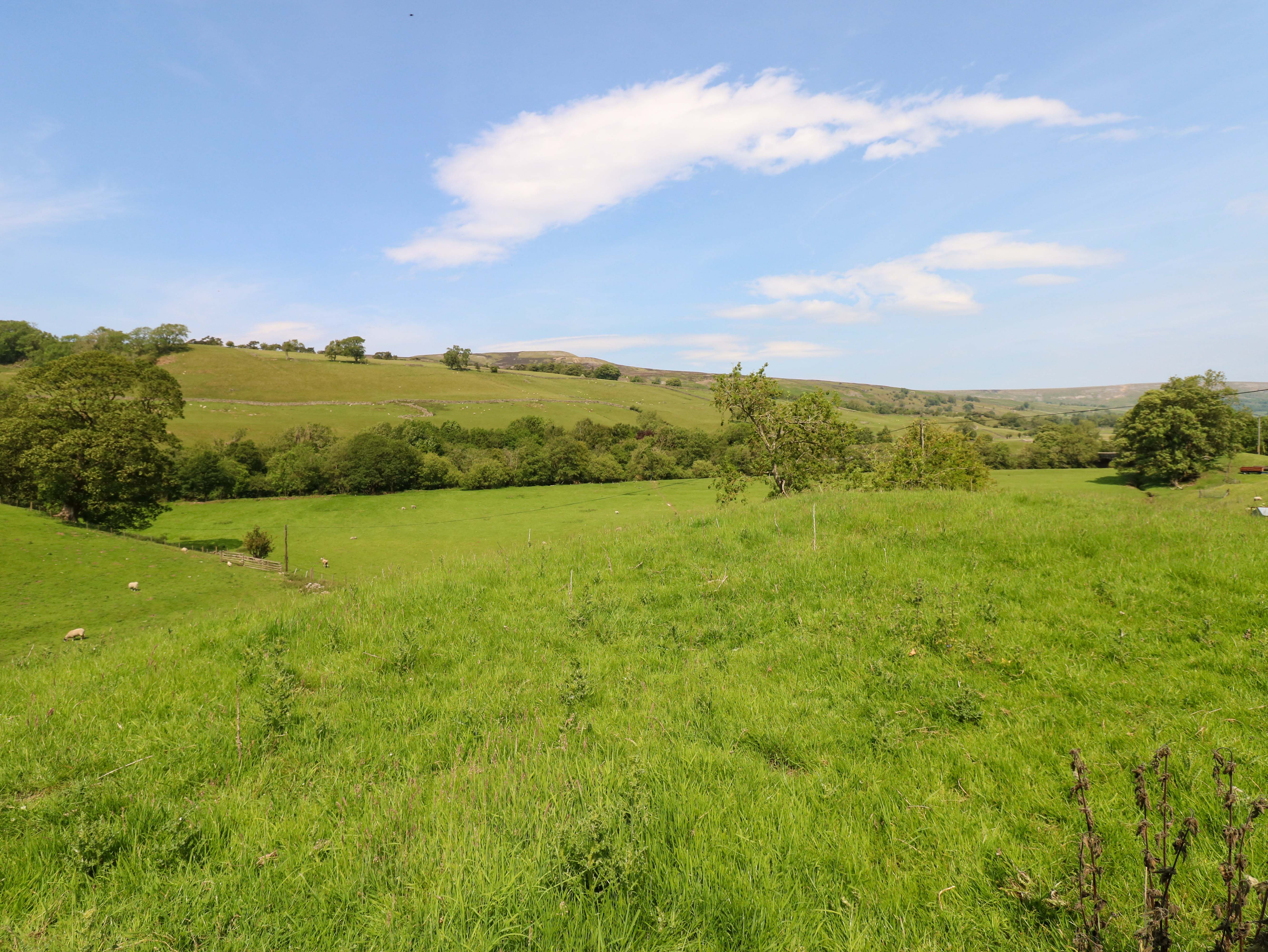 Property image 28 for SC1178261